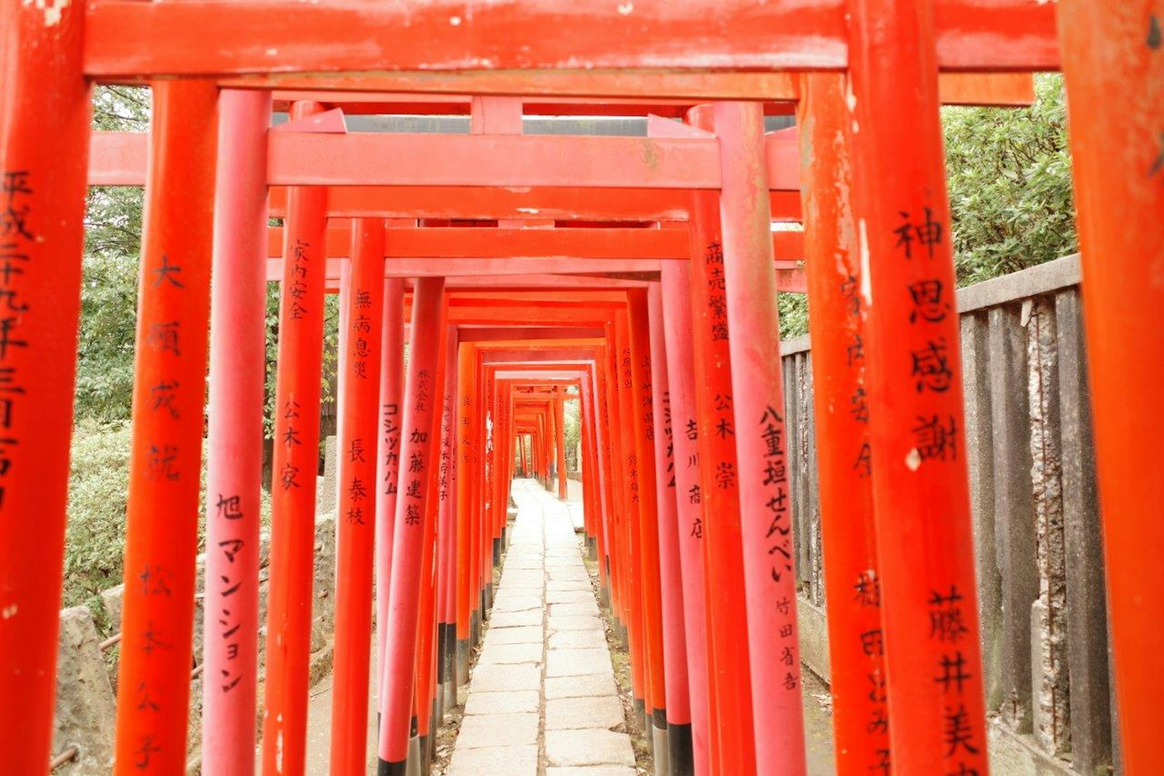 赤い鳥居が並ぶ道の風景