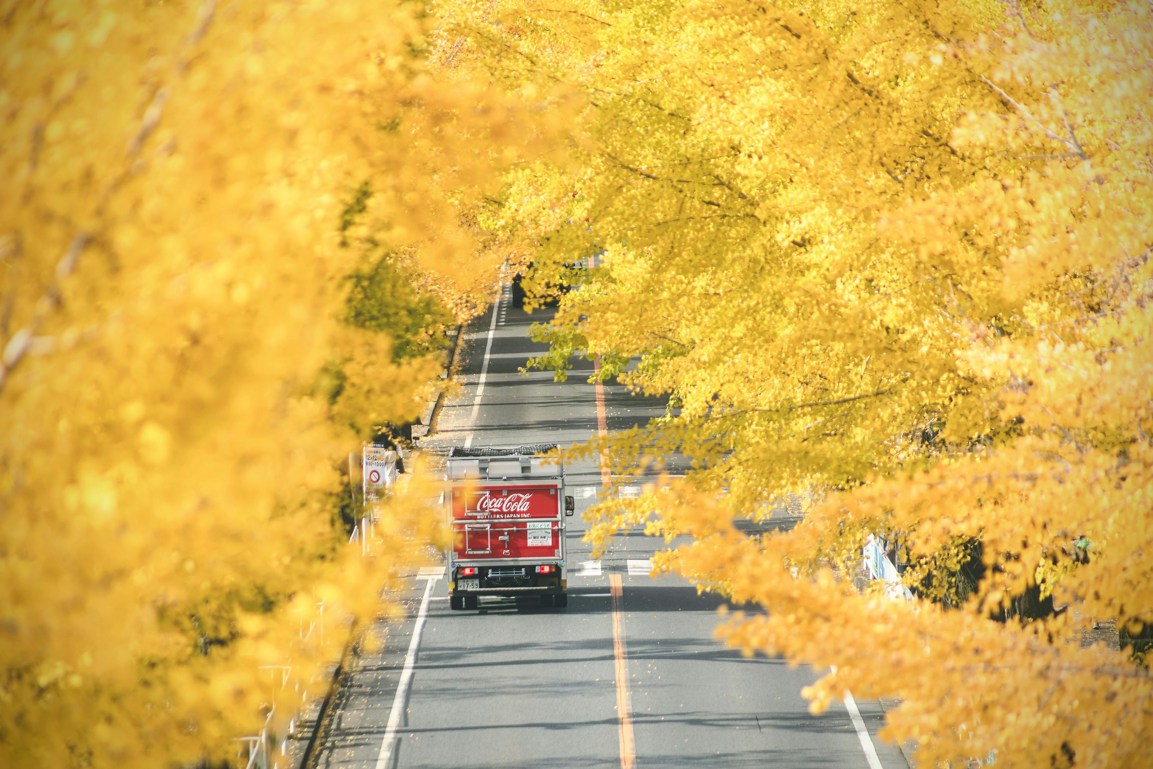 黄色い木々に囲まれた道路を走る消防車