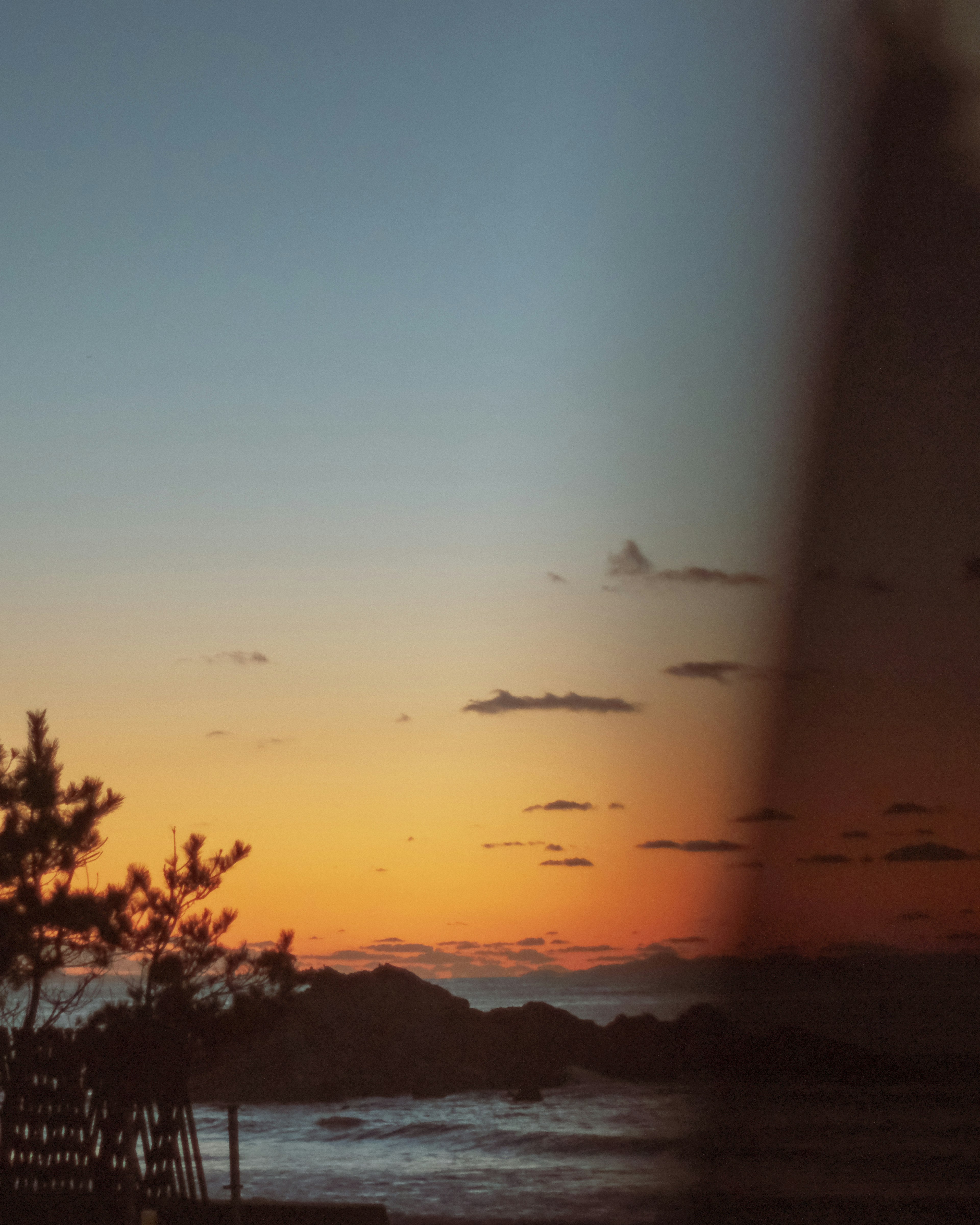 Coastal sunset with silhouettes of trees