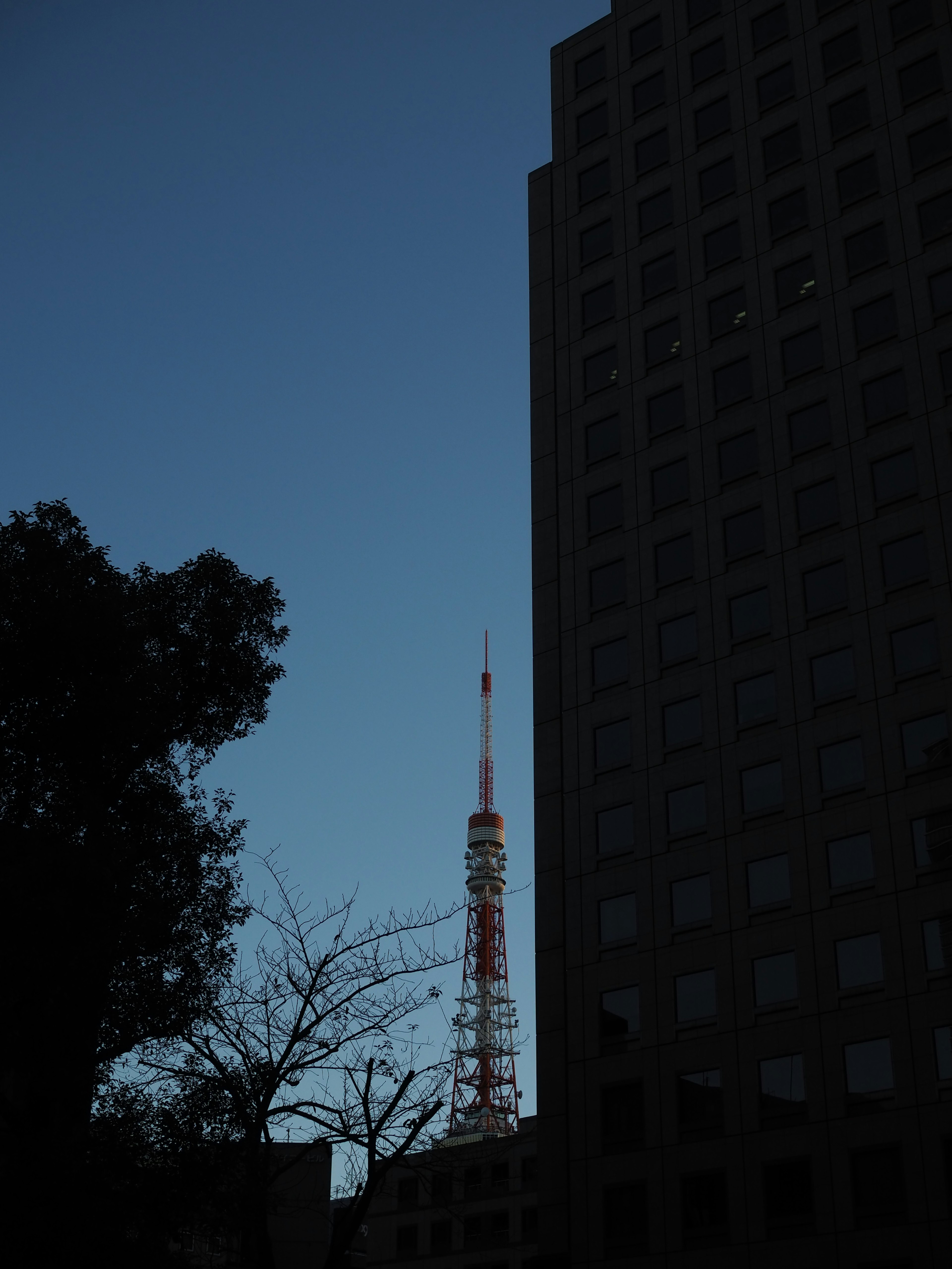 東京タワーが建物の間から見える夕暮れのシルエット