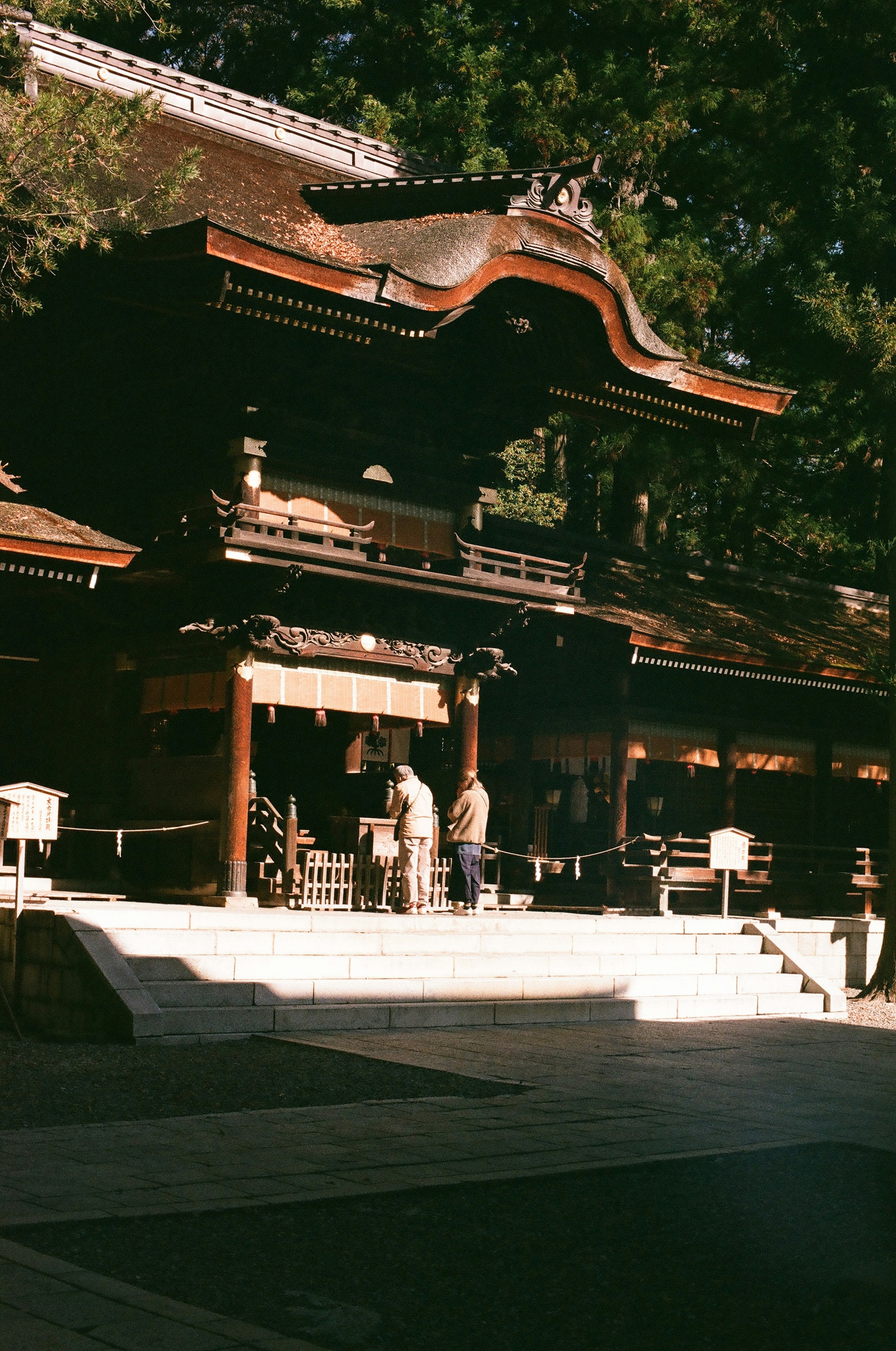 神社の伝統的な建築様式と石の階段が特徴的な景観