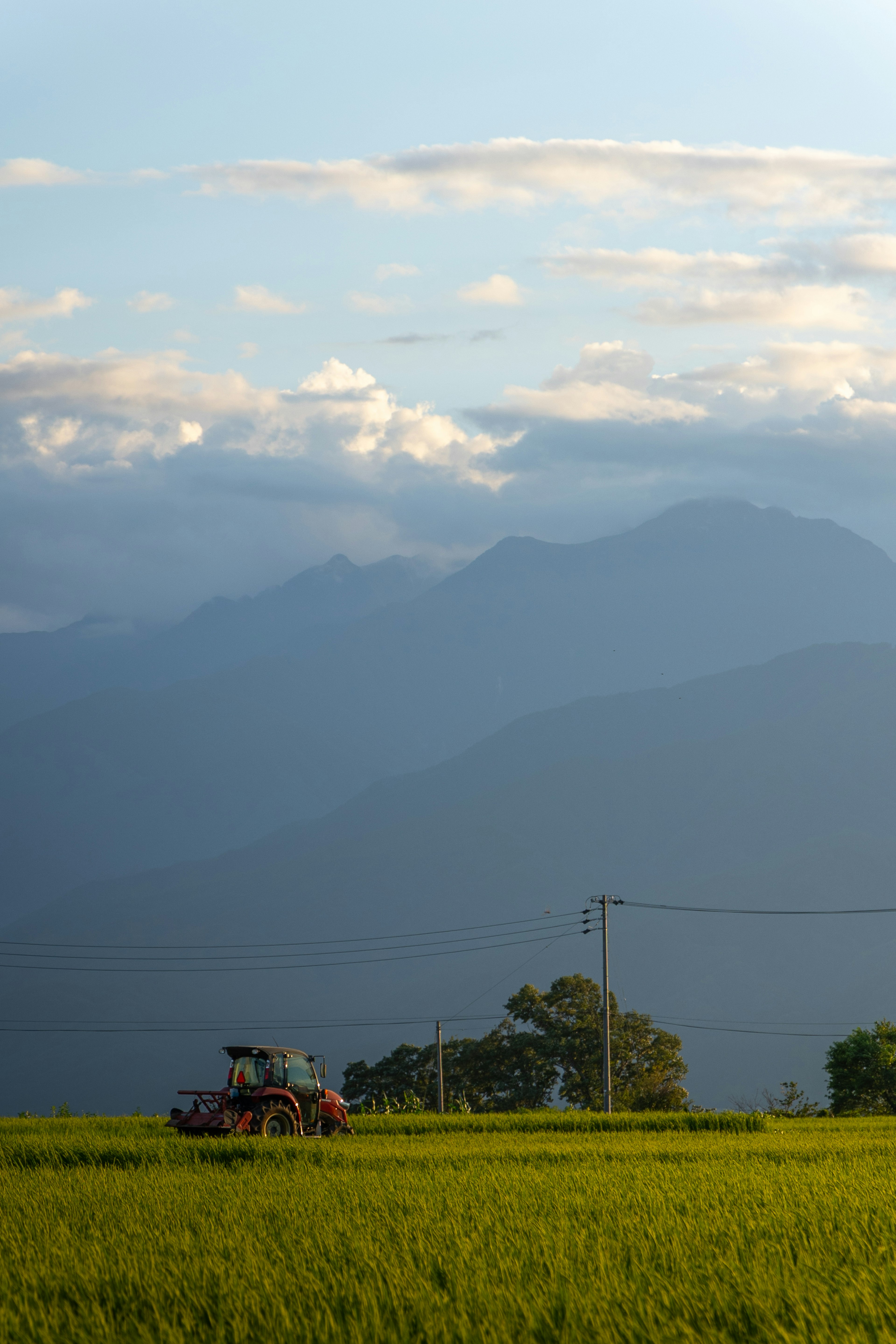 Tractor trabajando en un campo de arroz con montañas al fondo