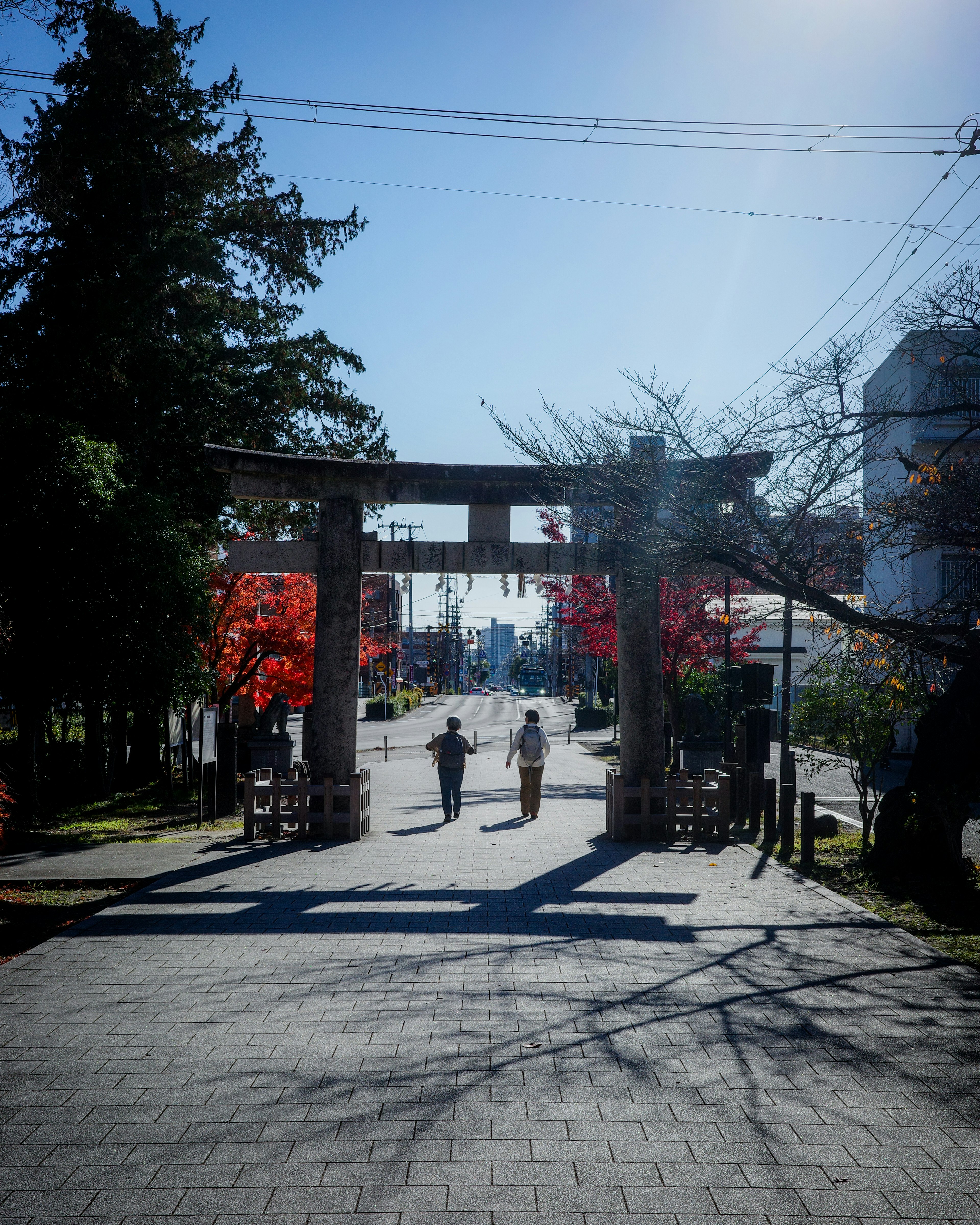 兩個人在公園的鳥居下走，周圍有秋天的樹葉