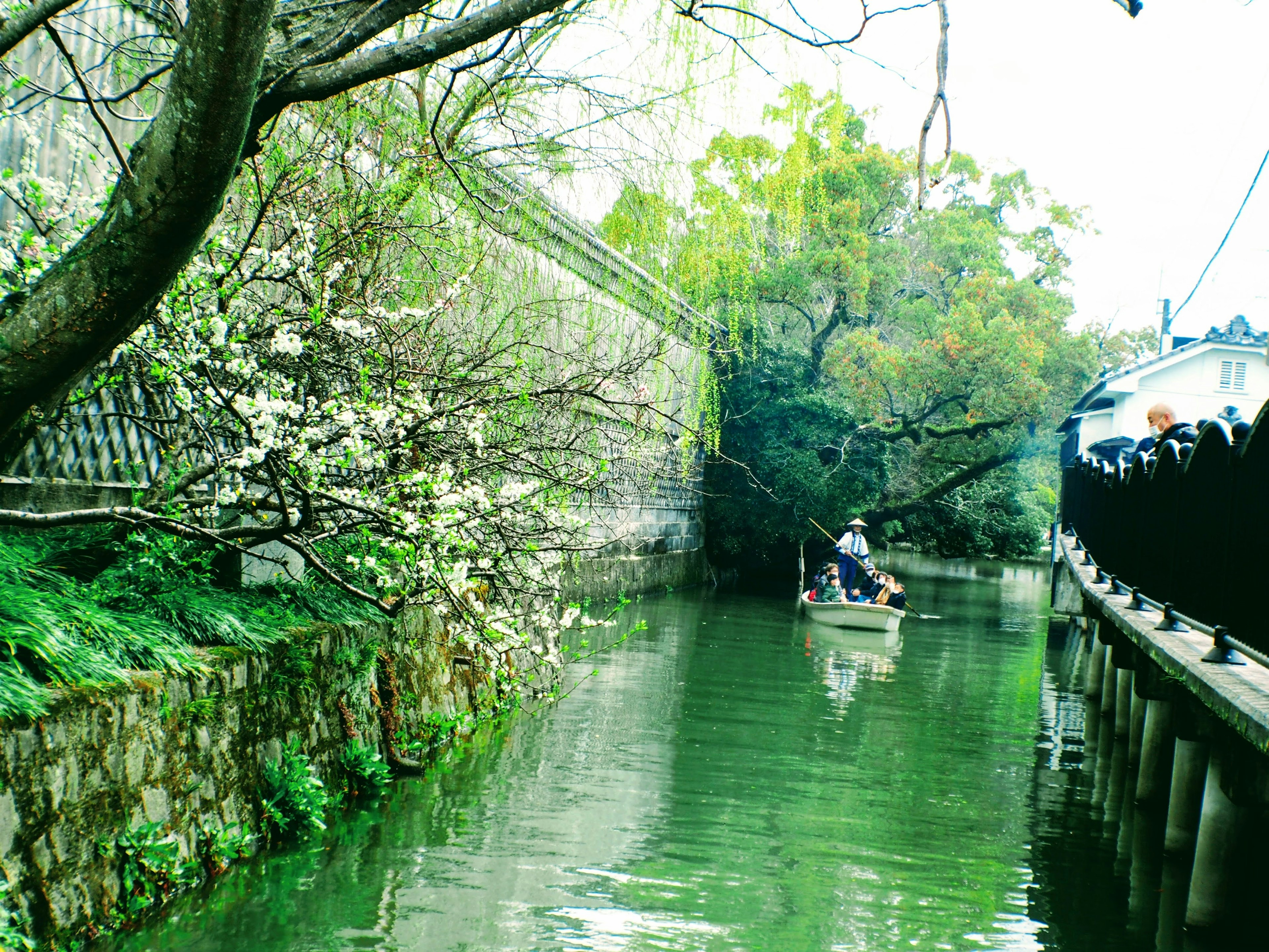 静かな水路にボートが浮かぶ風景 花が咲く木々が水辺を彩る