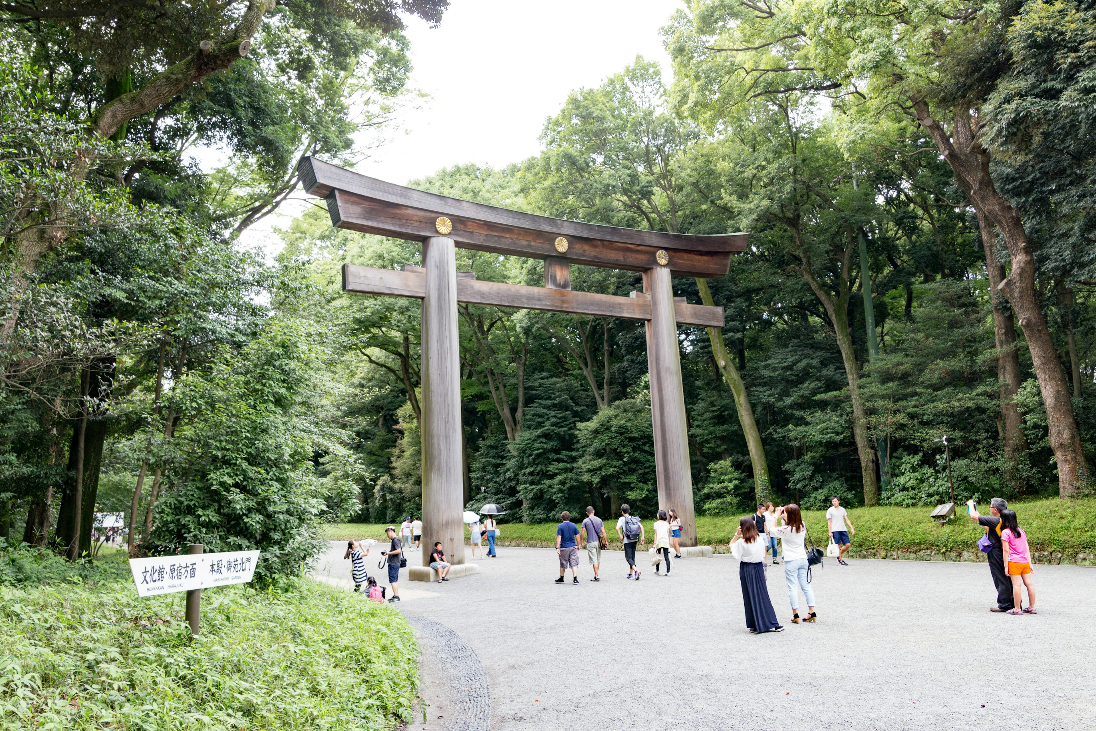 緑に囲まれた大きな鳥居と訪問者