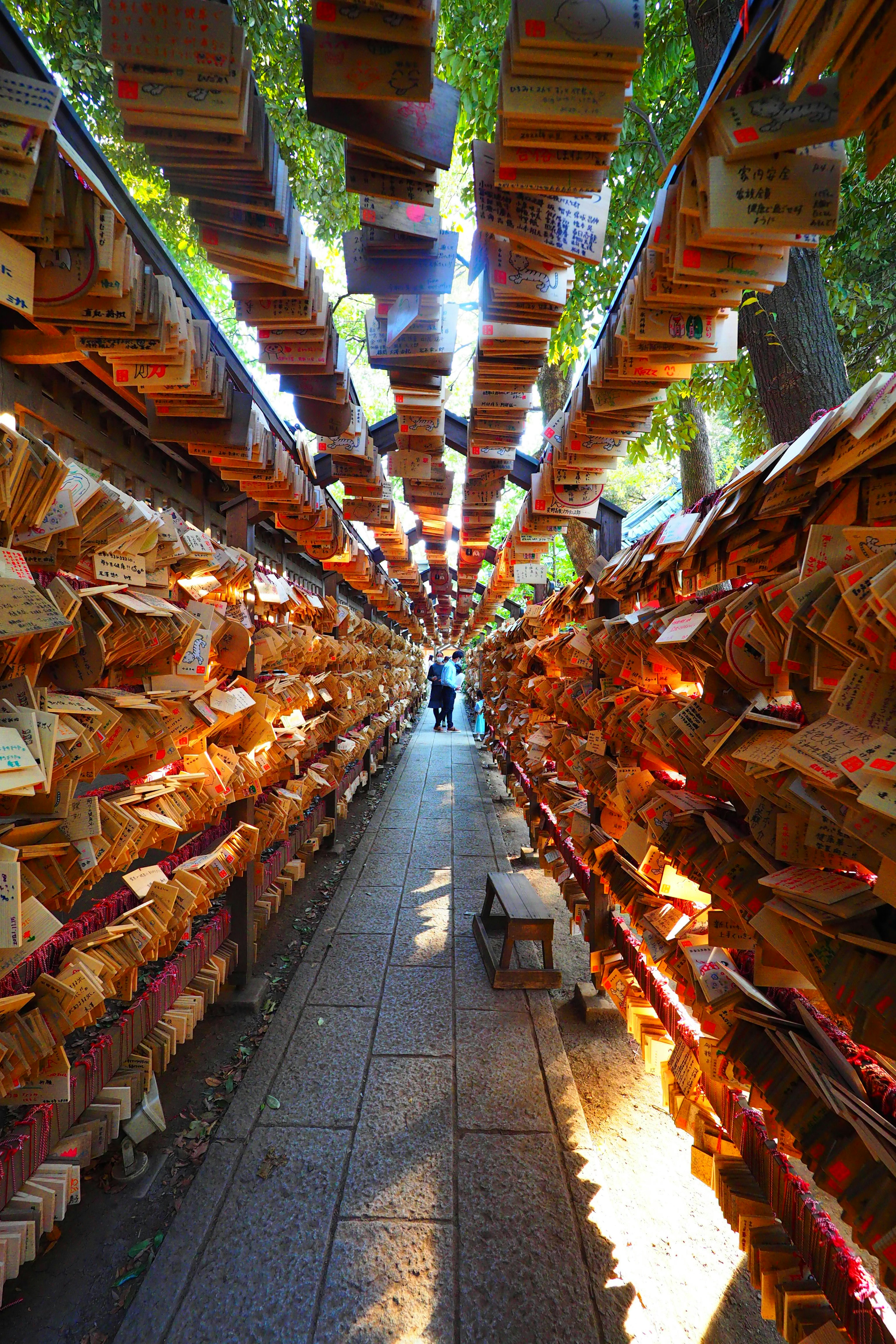 A pathway lined with colorful wooden plaques hanging in a shrine