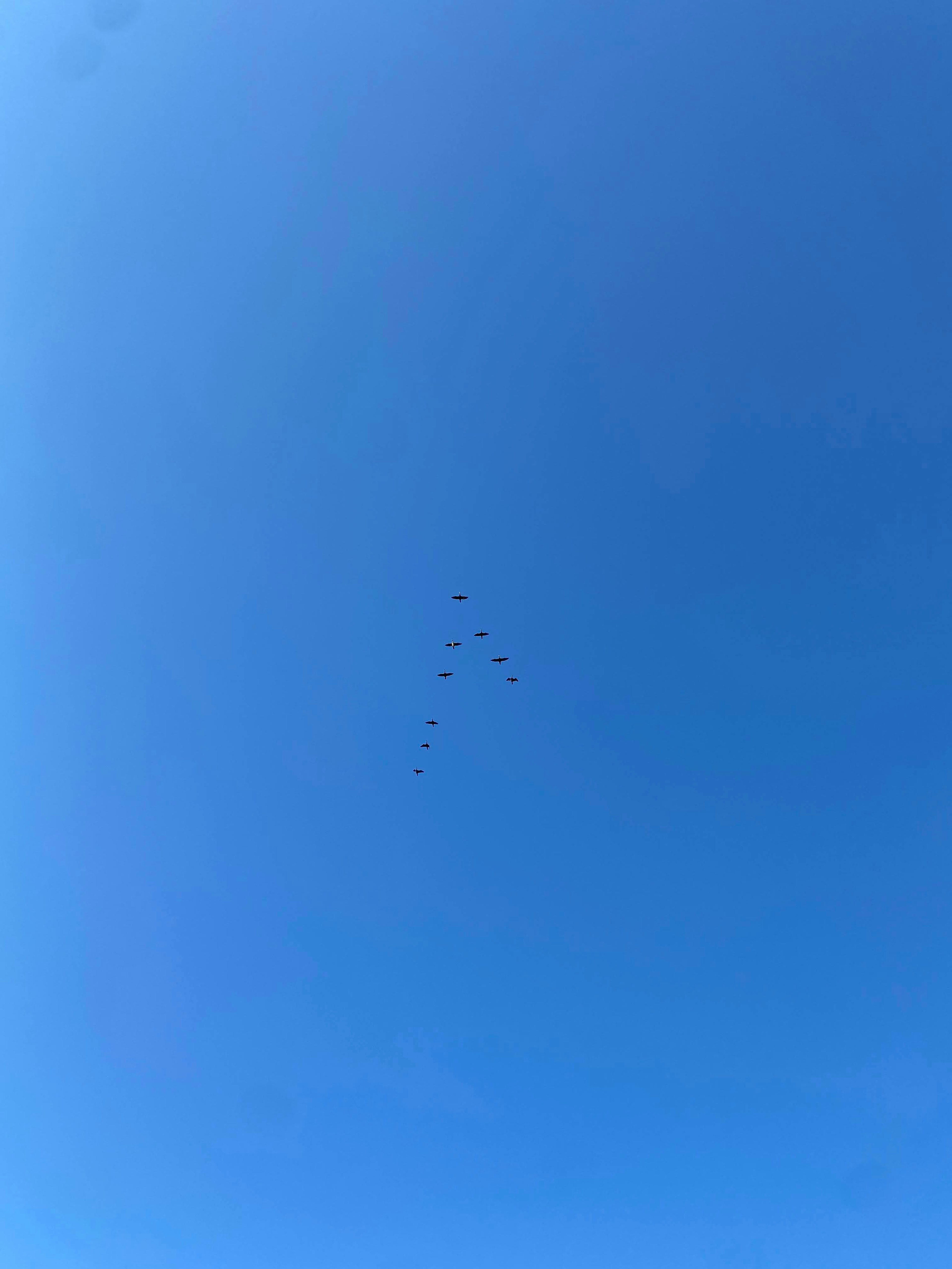 Small dots in a clear blue sky