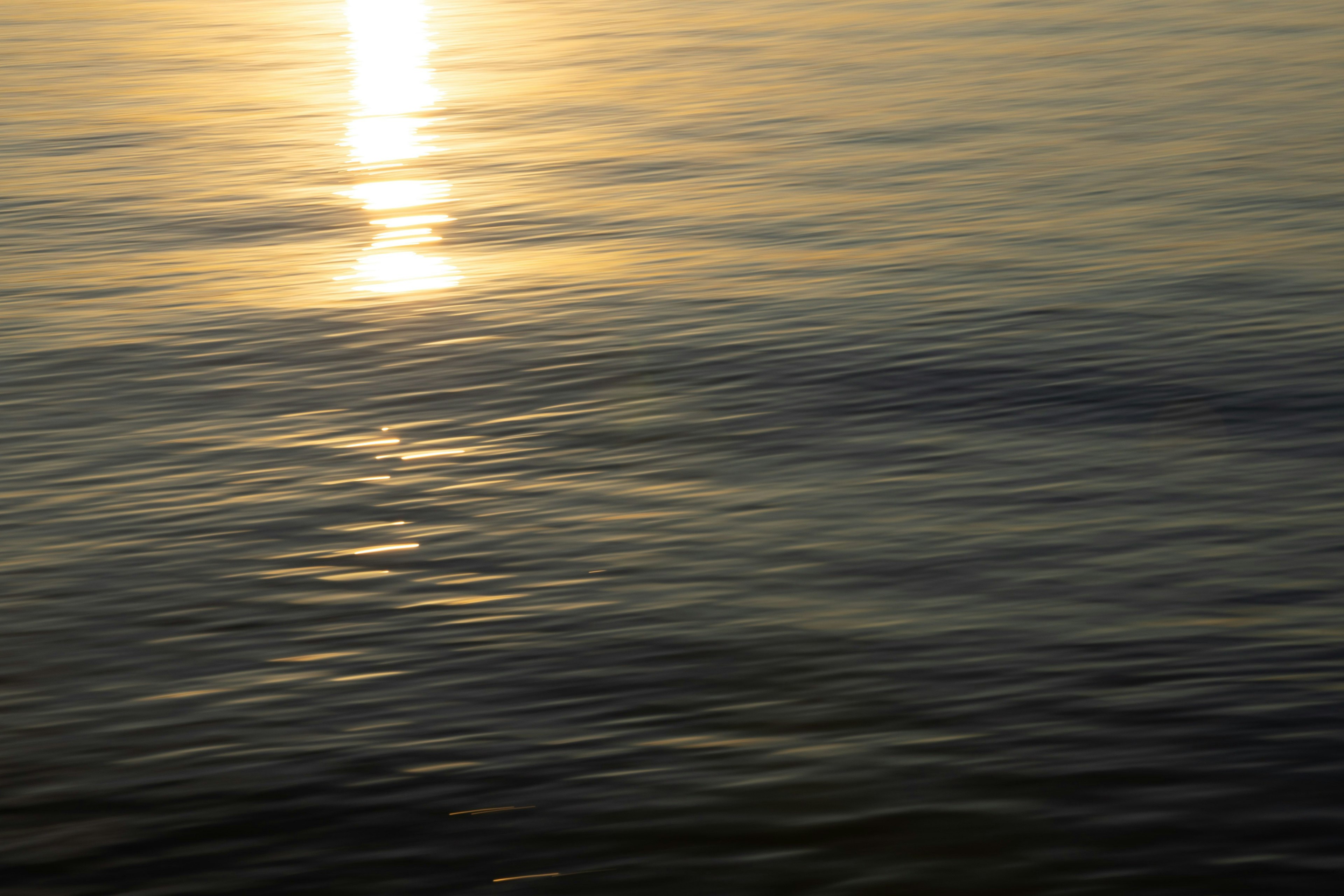 穏やかな水面に反射する夕日の光
