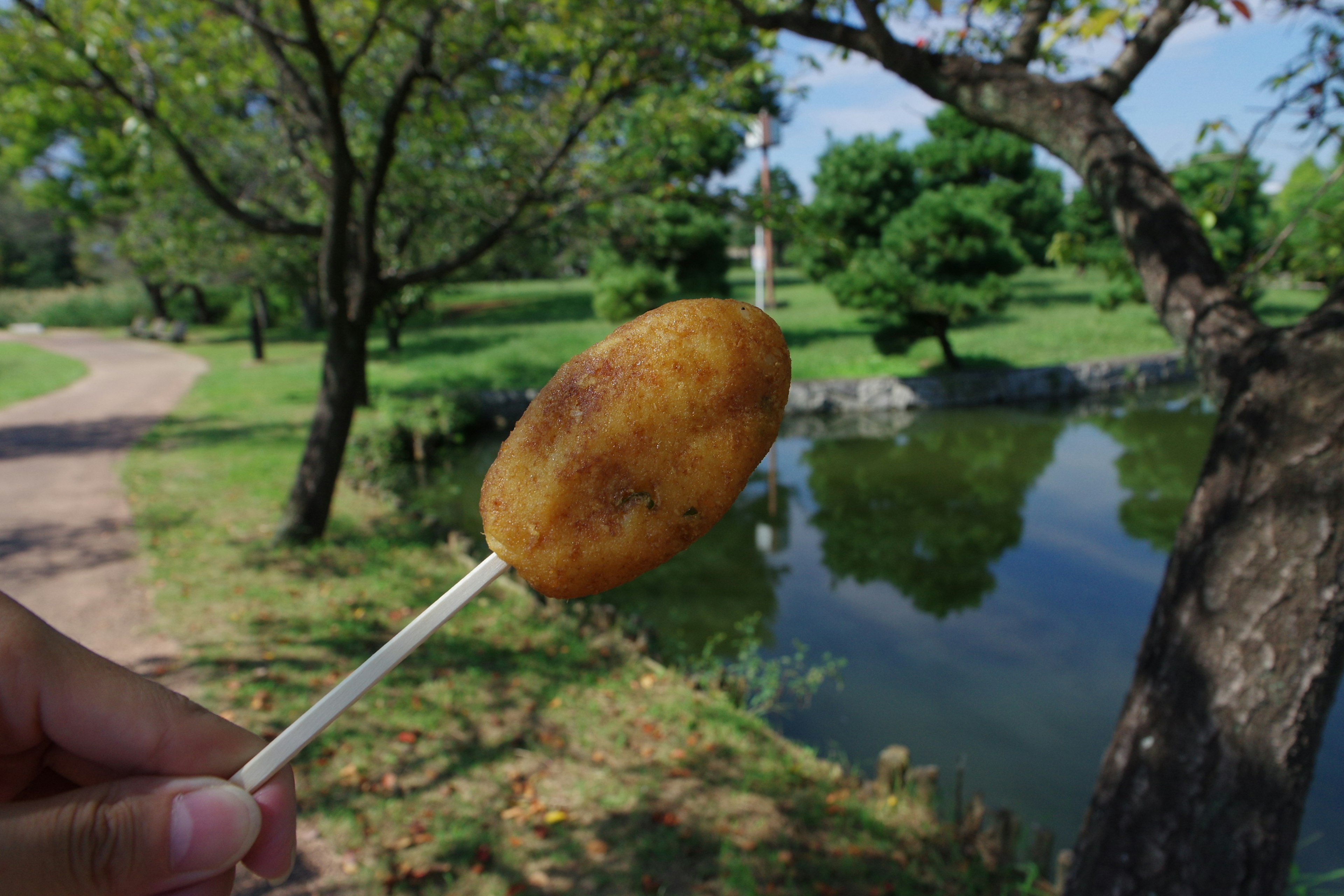 Corn dog held in front of a park pond