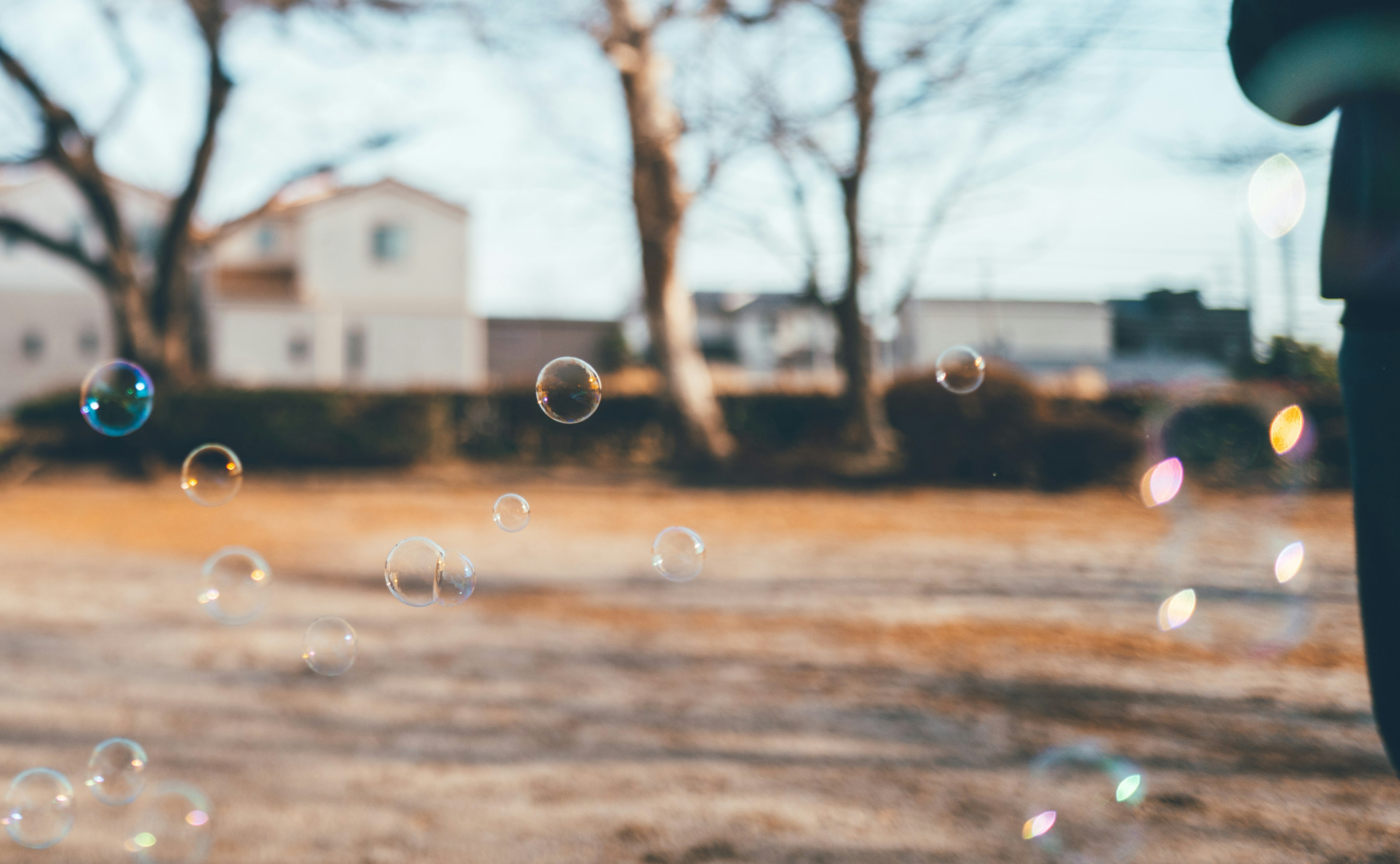 A park scene with bubbles floating in the air houses and trees in the background