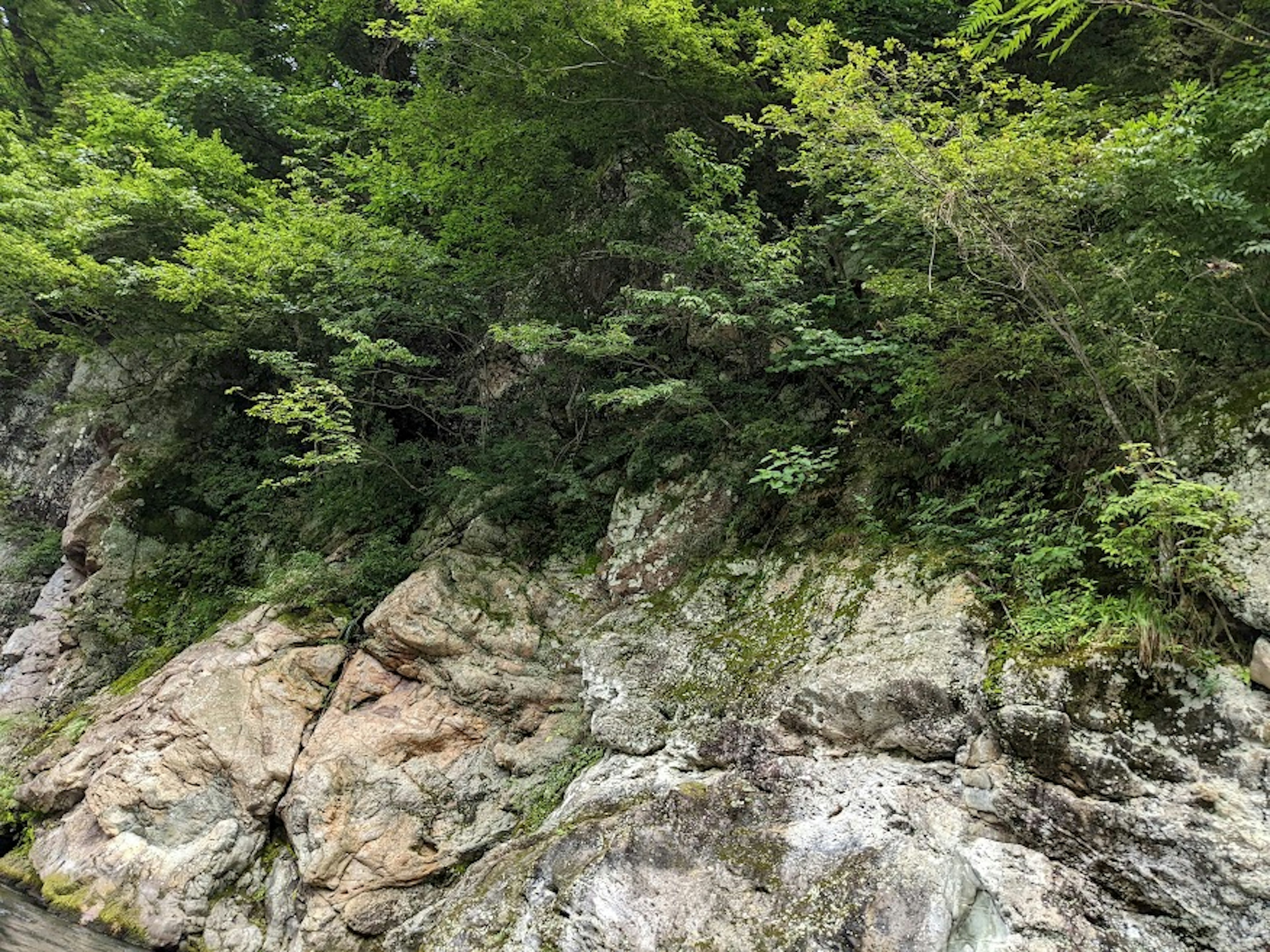 Üppige Vegetation umgibt eine felsige Landschaft