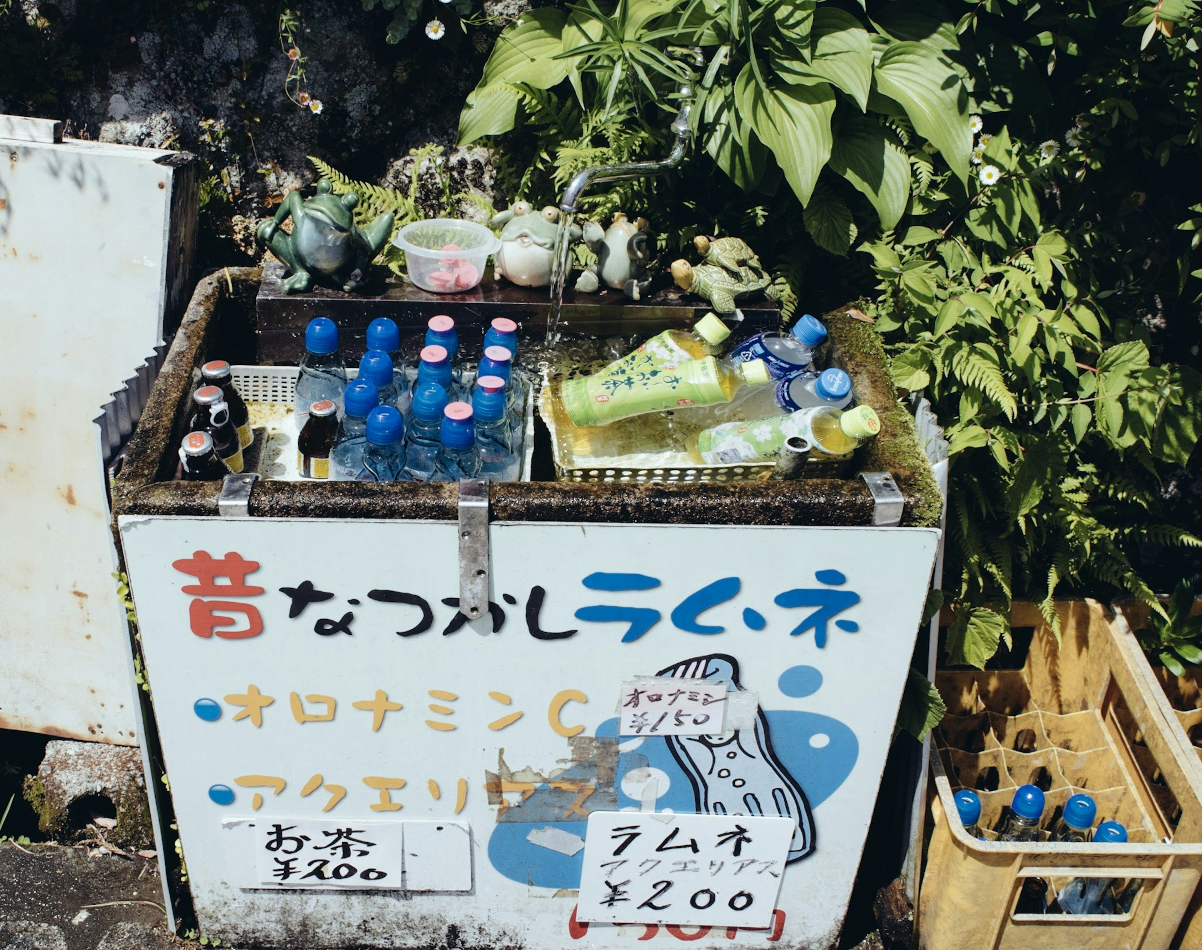 Ancien distributeur automatique avec des bouteilles et une poubelle entourés de plantes vertes