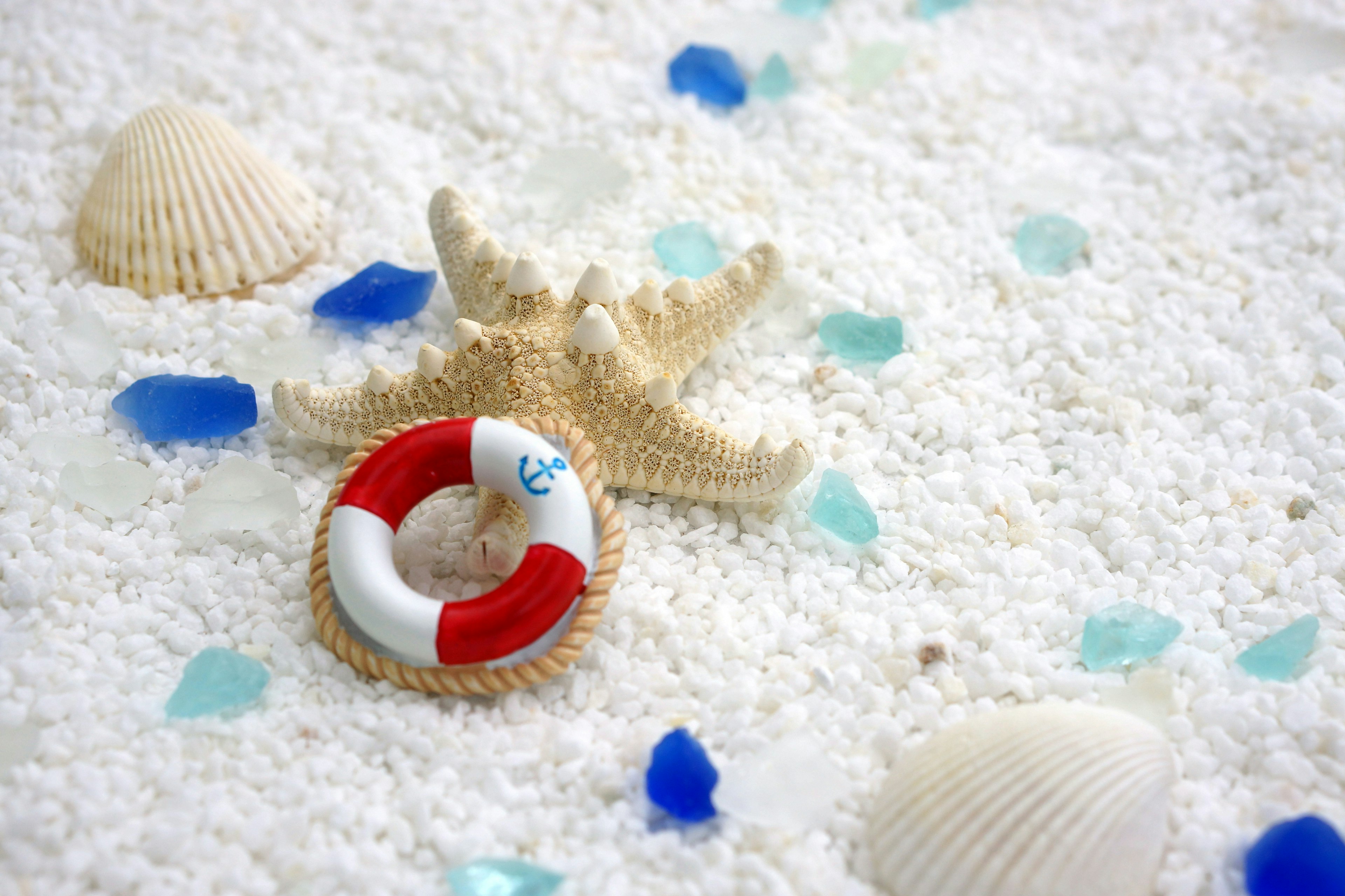 Beach scene with a lifebuoy and seashells on white sand