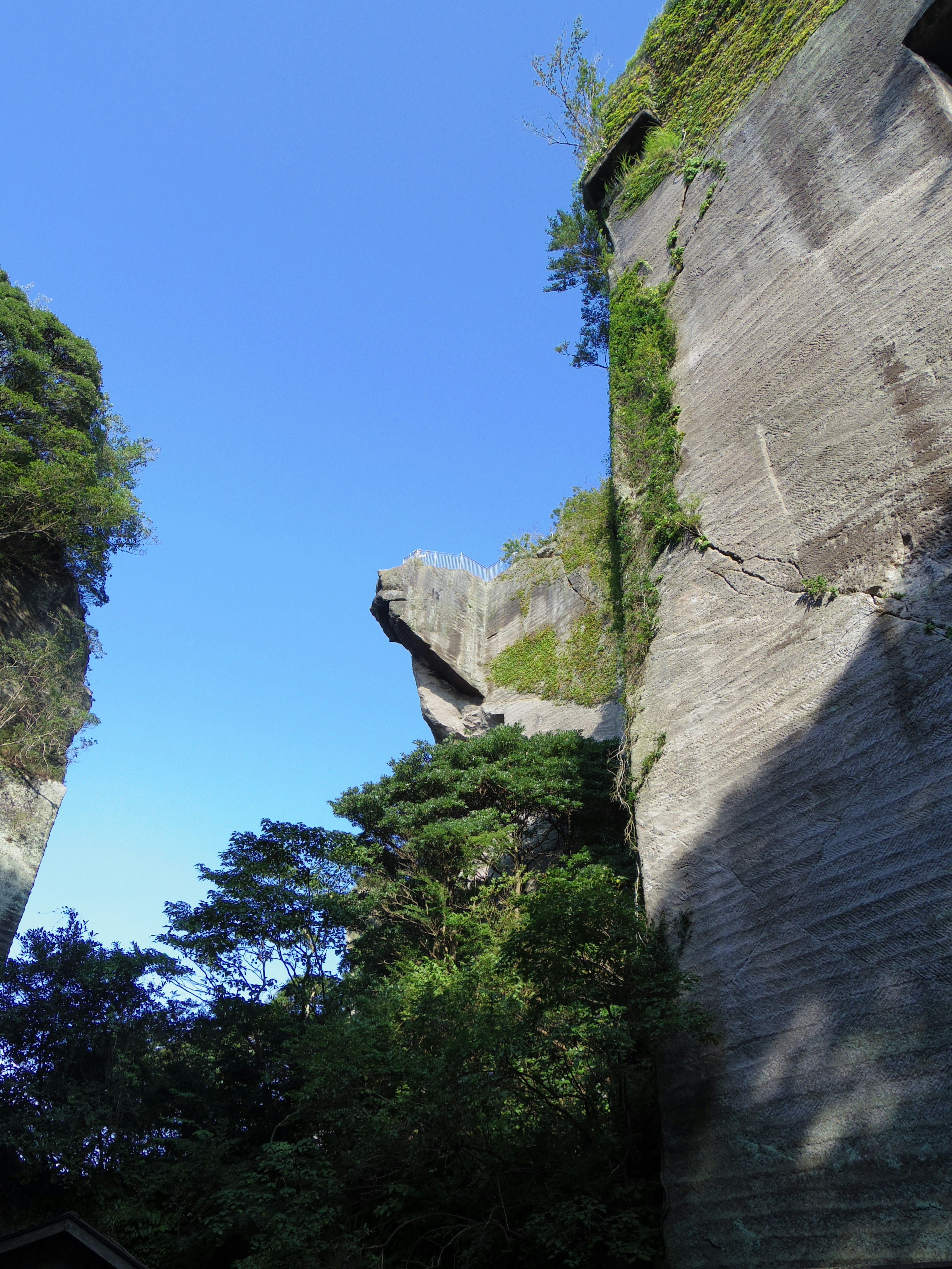 Falaises rocheuses sous un ciel bleu avec une végétation luxuriante