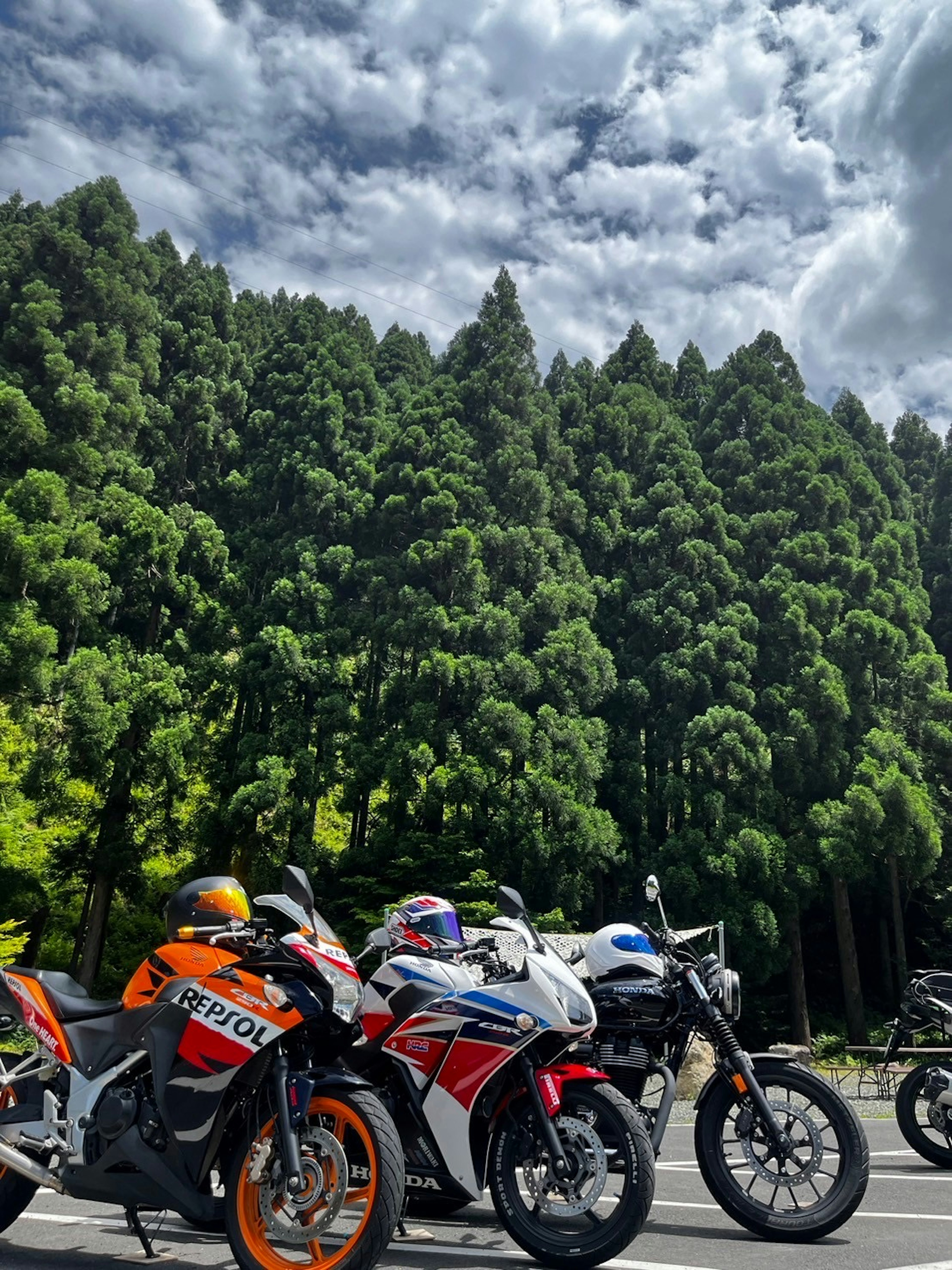 緑豊かな森の背景に並ぶバイクたち