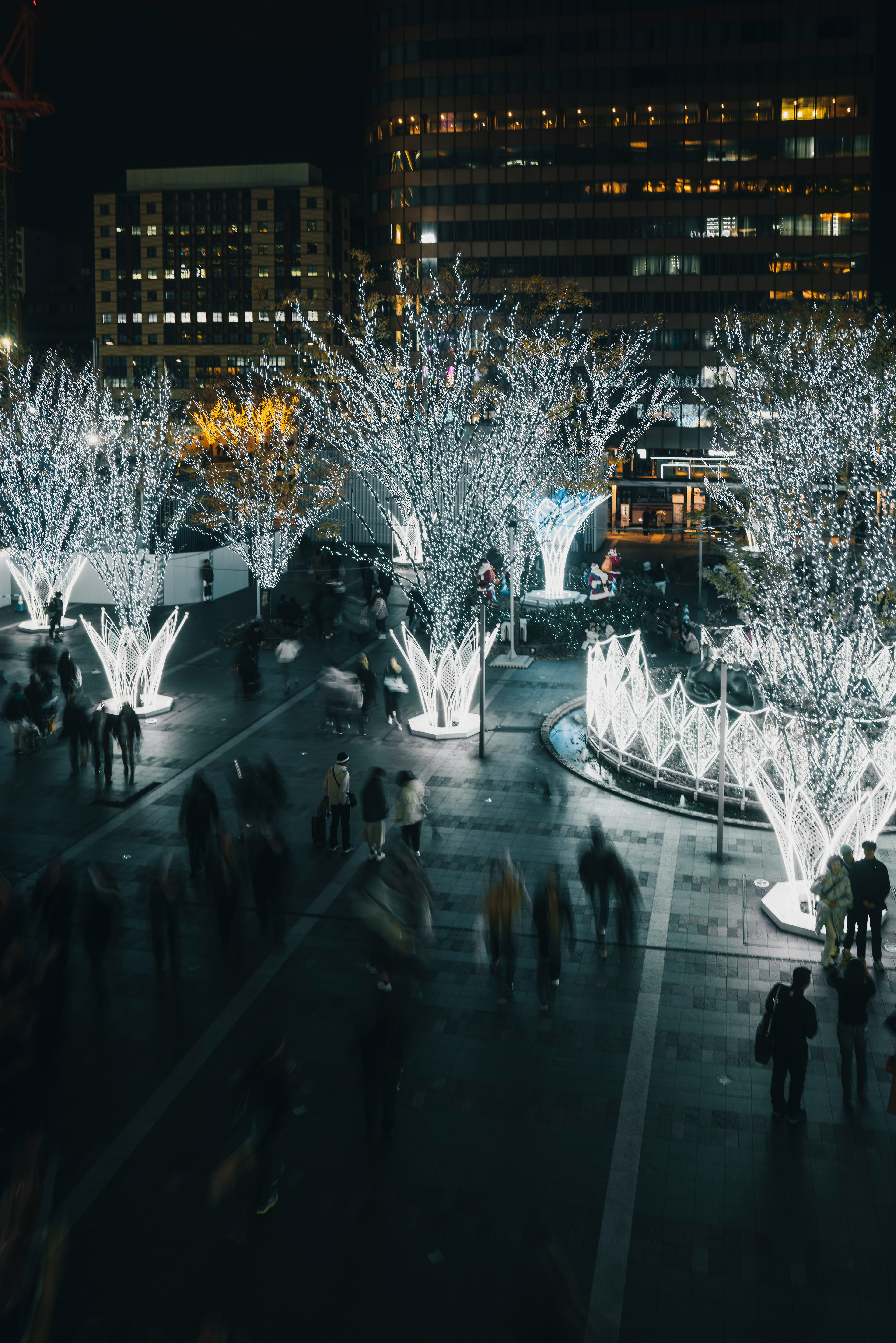 Scena notturna con alberi illuminati di bianco e persone che si radunano in città