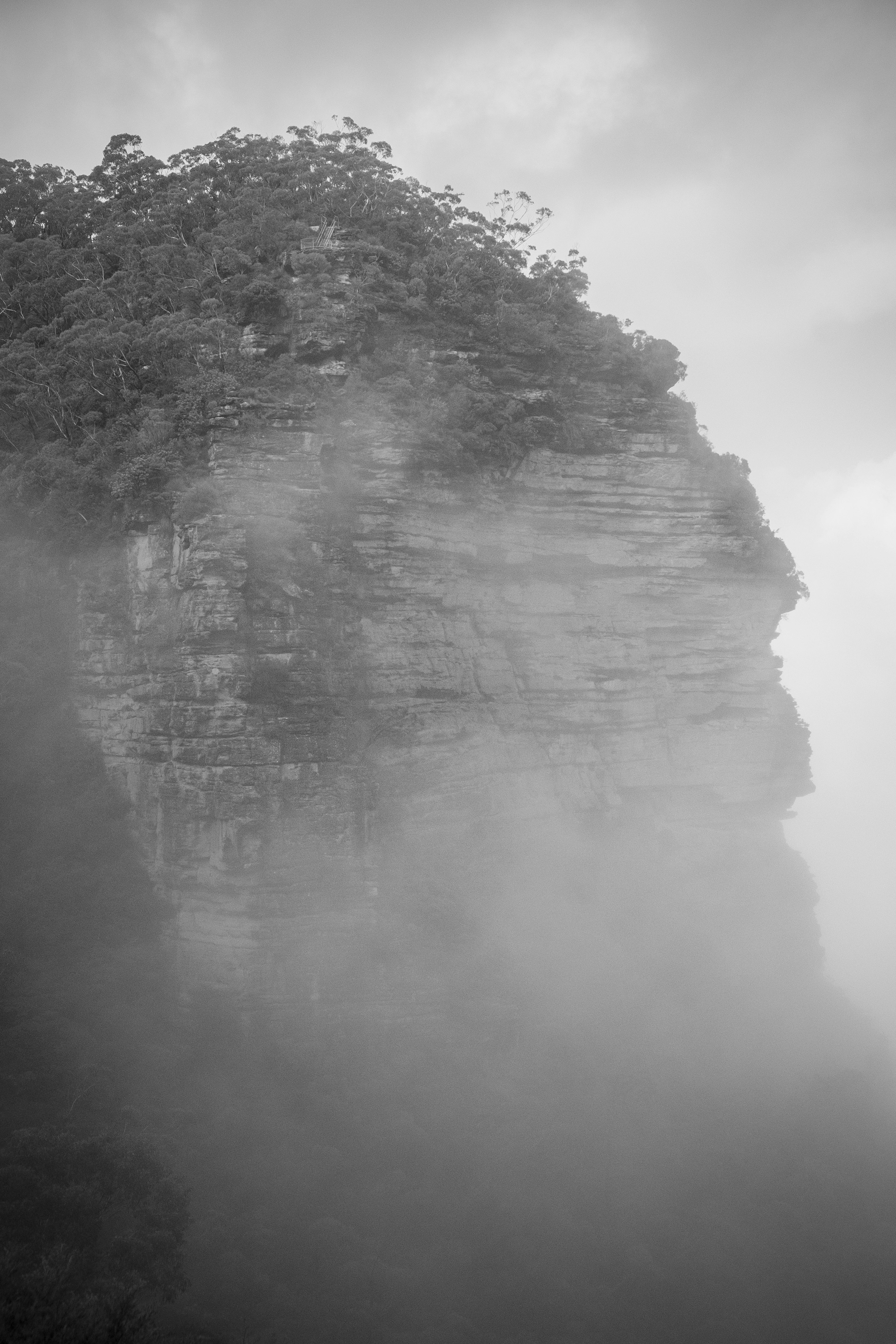 Silhouette di una montagna rocciosa avvolta nella nebbia con vegetazione verde