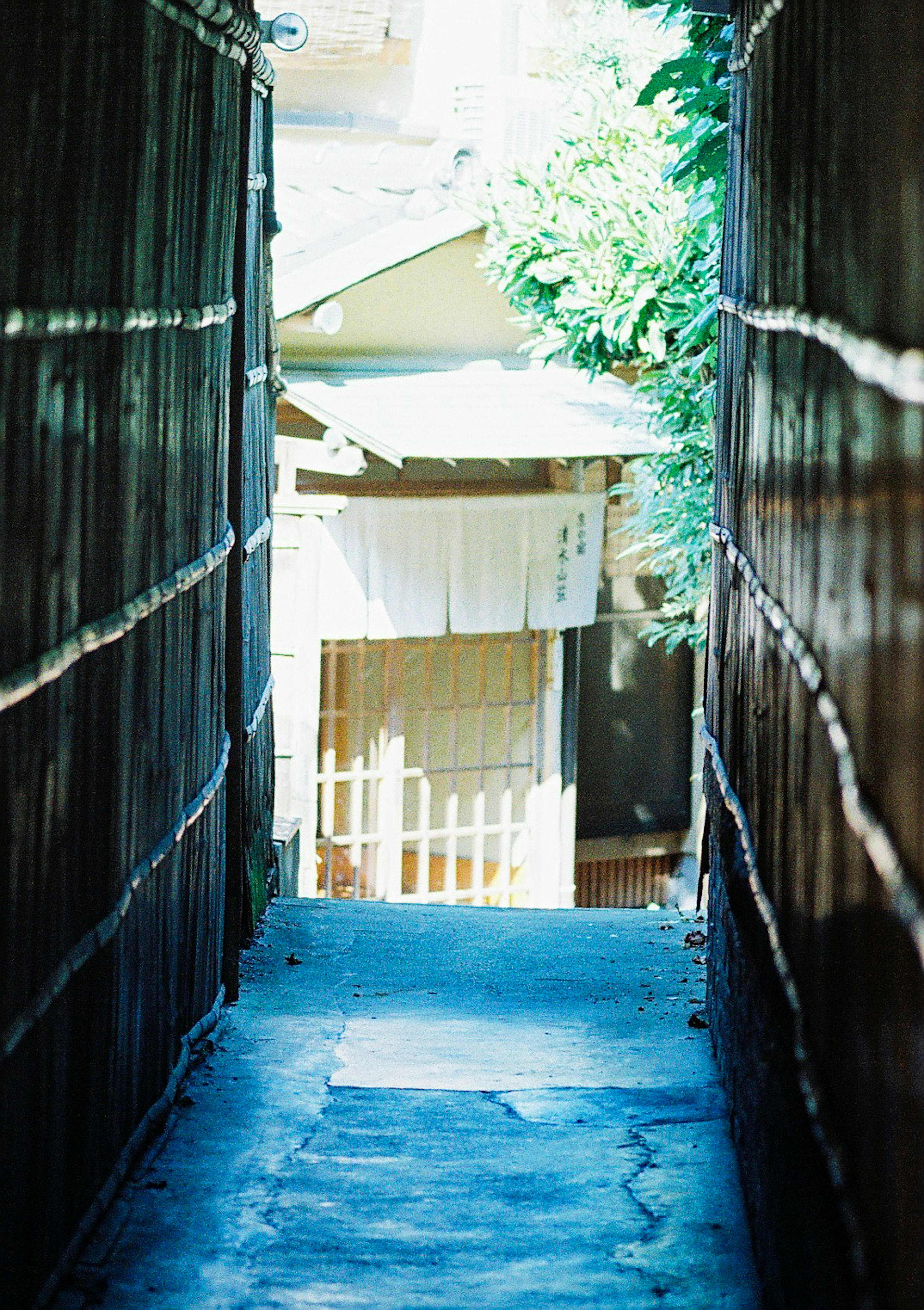 Ein schmaler blauer Weg, flankiert von Bambuszäunen, führt zu einem traditionellen japanischen Gebäude in einer ruhigen Umgebung