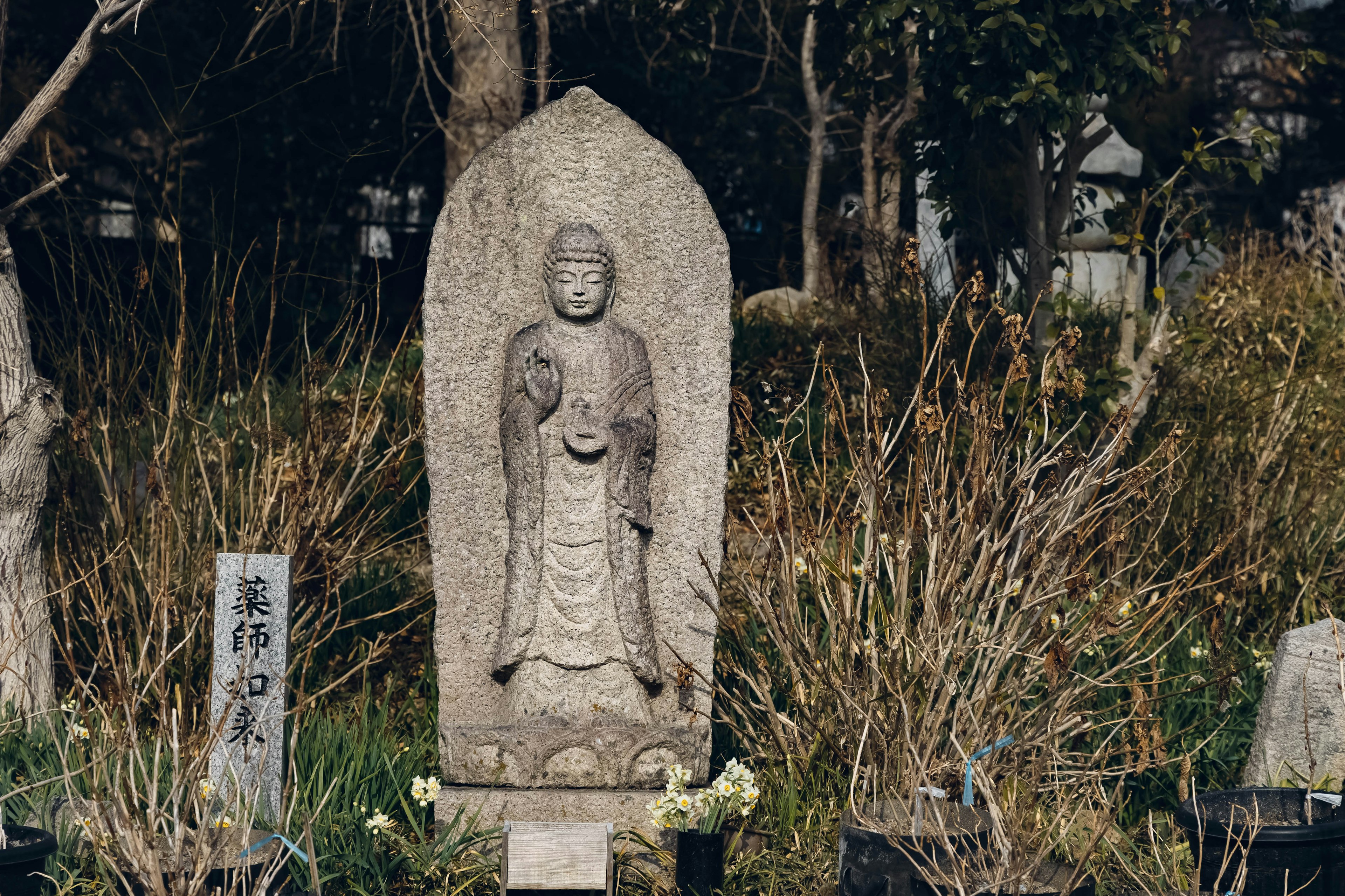 Statue en pierre d'un Bouddha entourée d'herbes et d'arbres