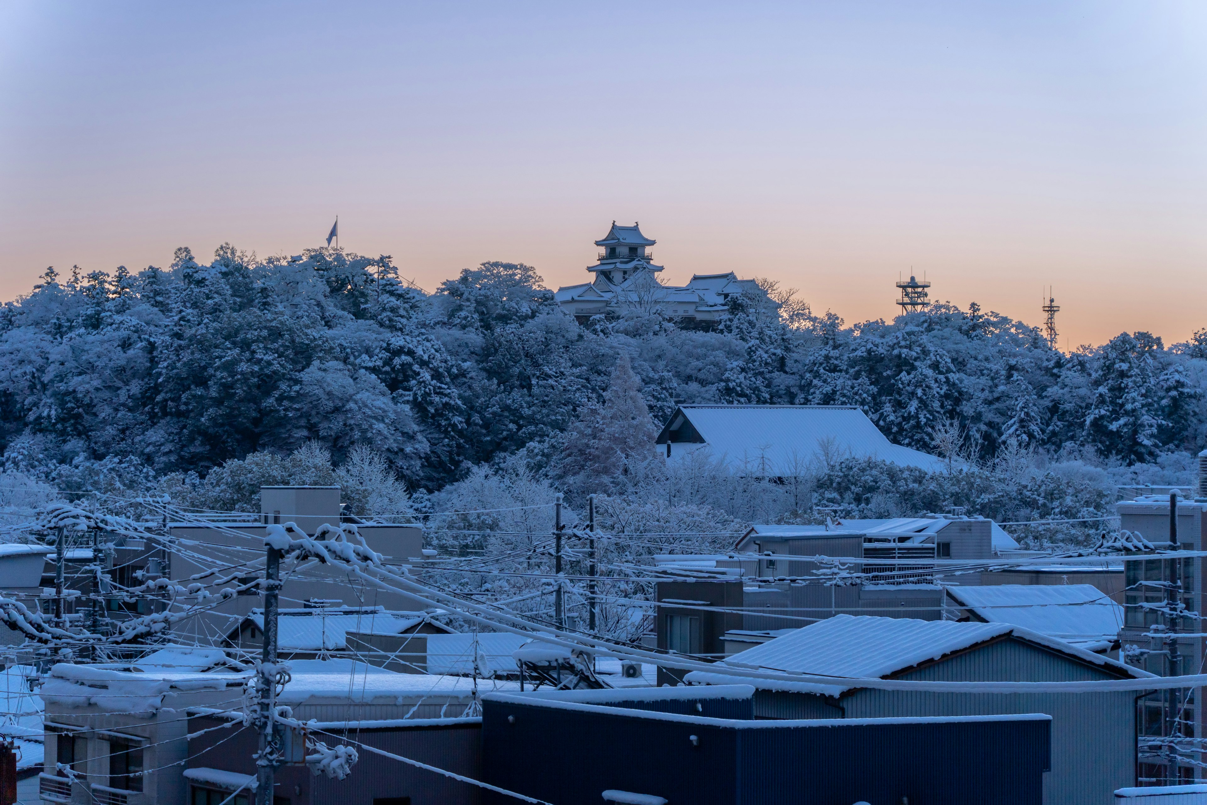 雪に覆われた木々と建物の背景に城が見える冬の風景