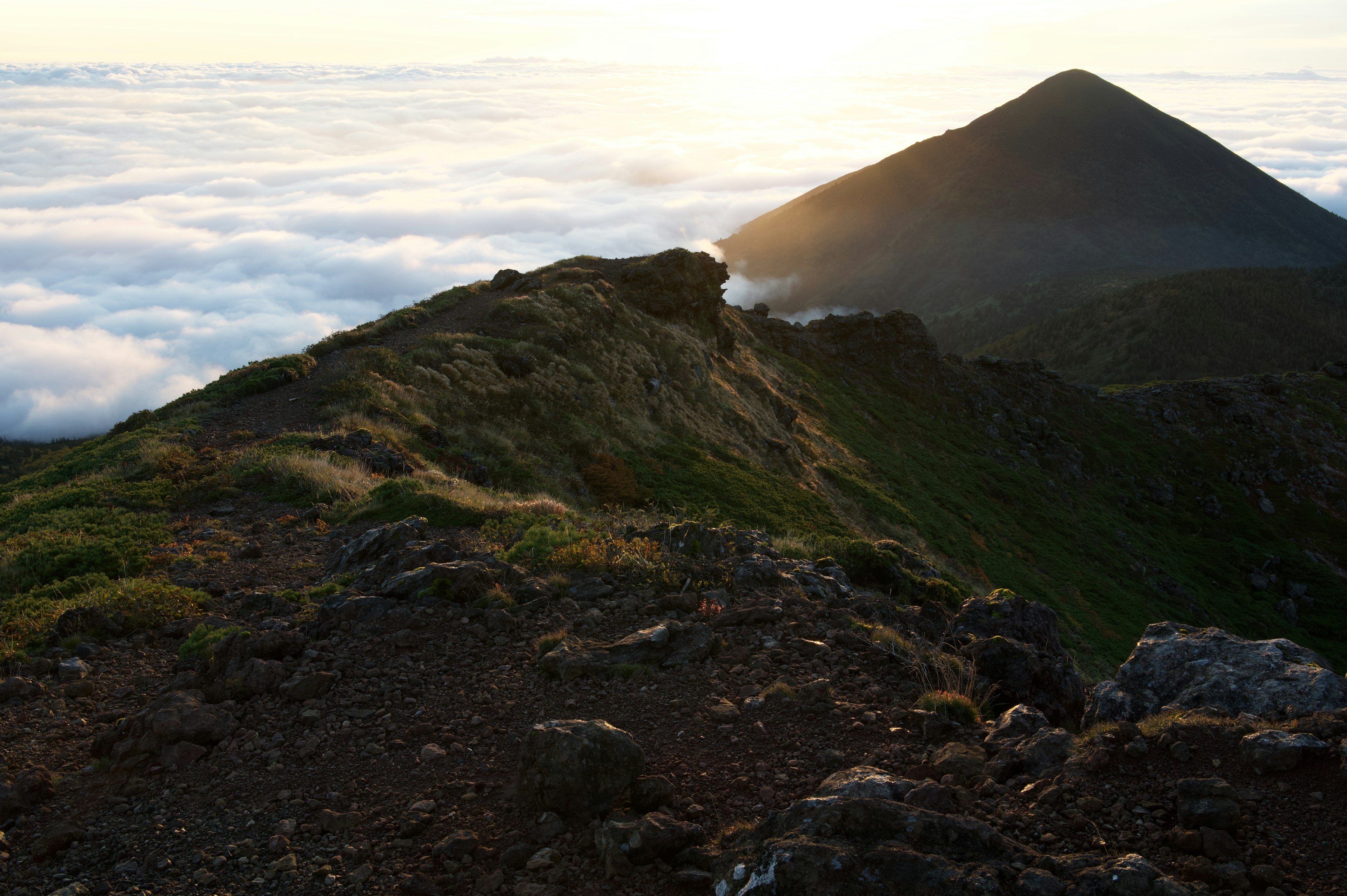 Mountain ridge above a sea of clouds with sunset lighting