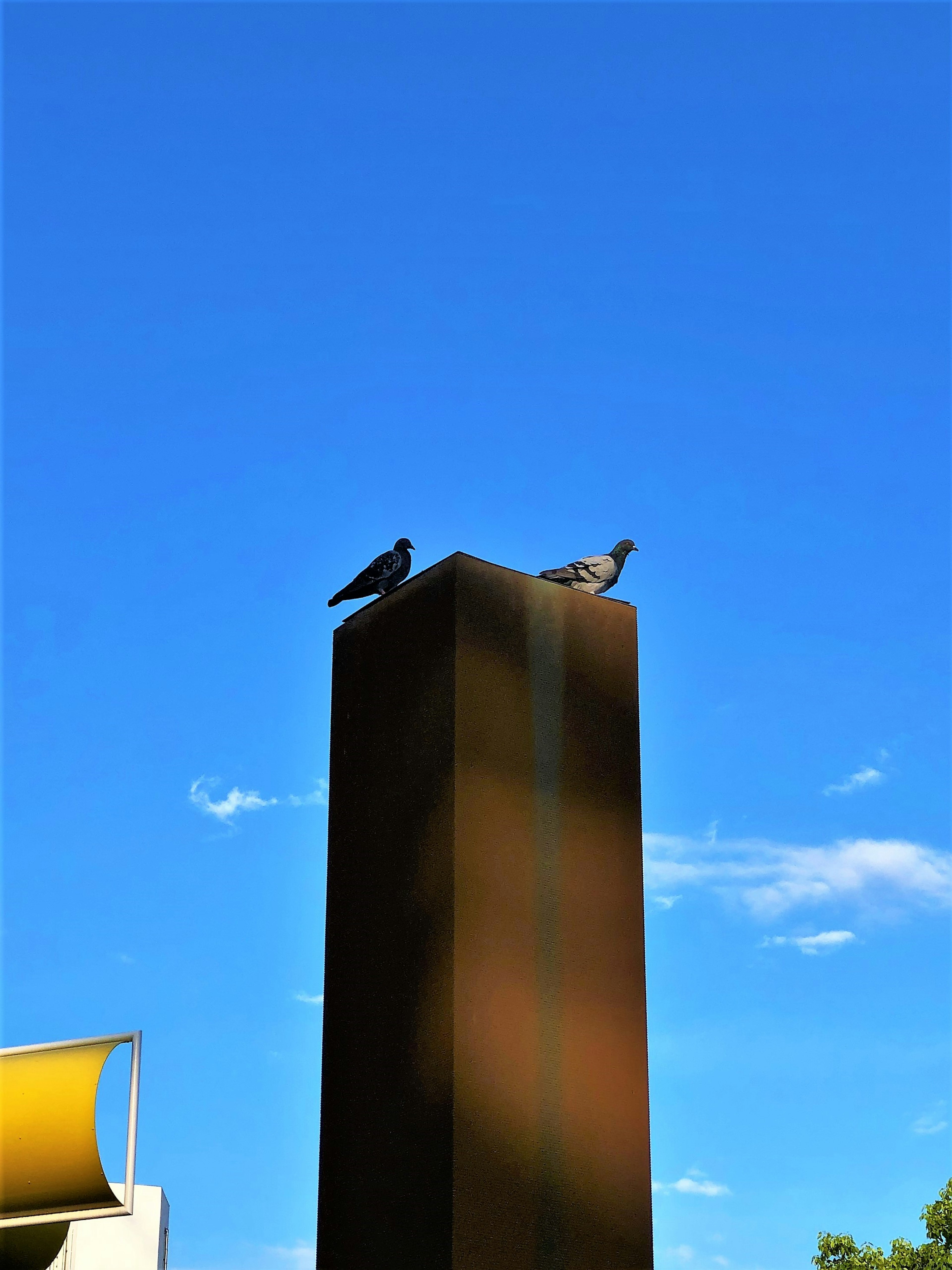 Zwei Tauben sitzen auf einer hohen Säule unter einem klaren blauen Himmel