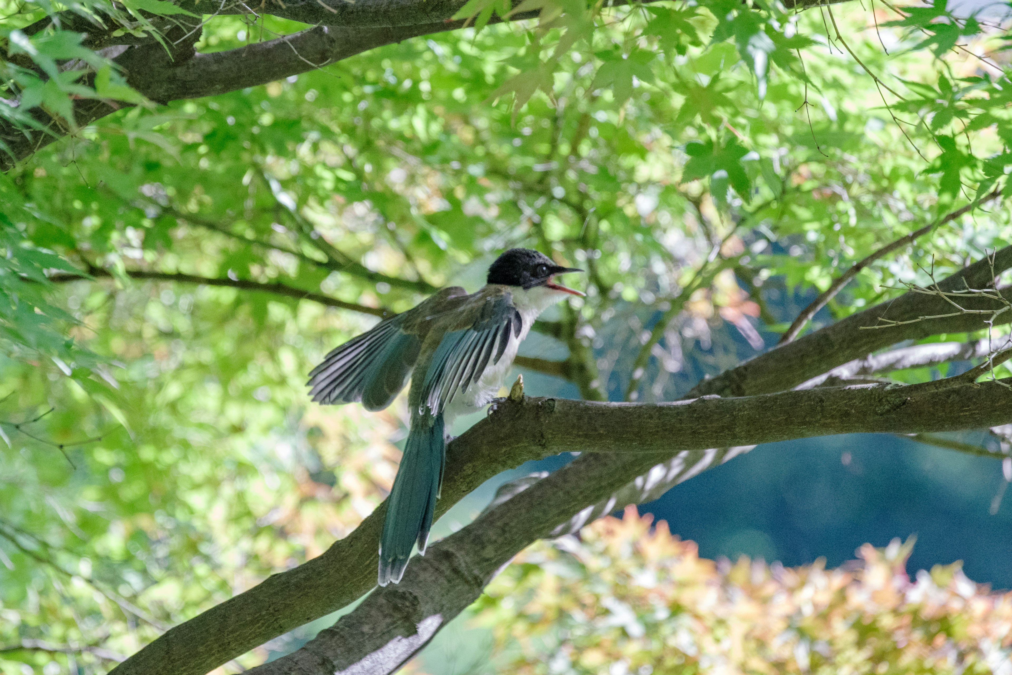 Pájaro posado en una rama con hojas verdes exuberantes de fondo