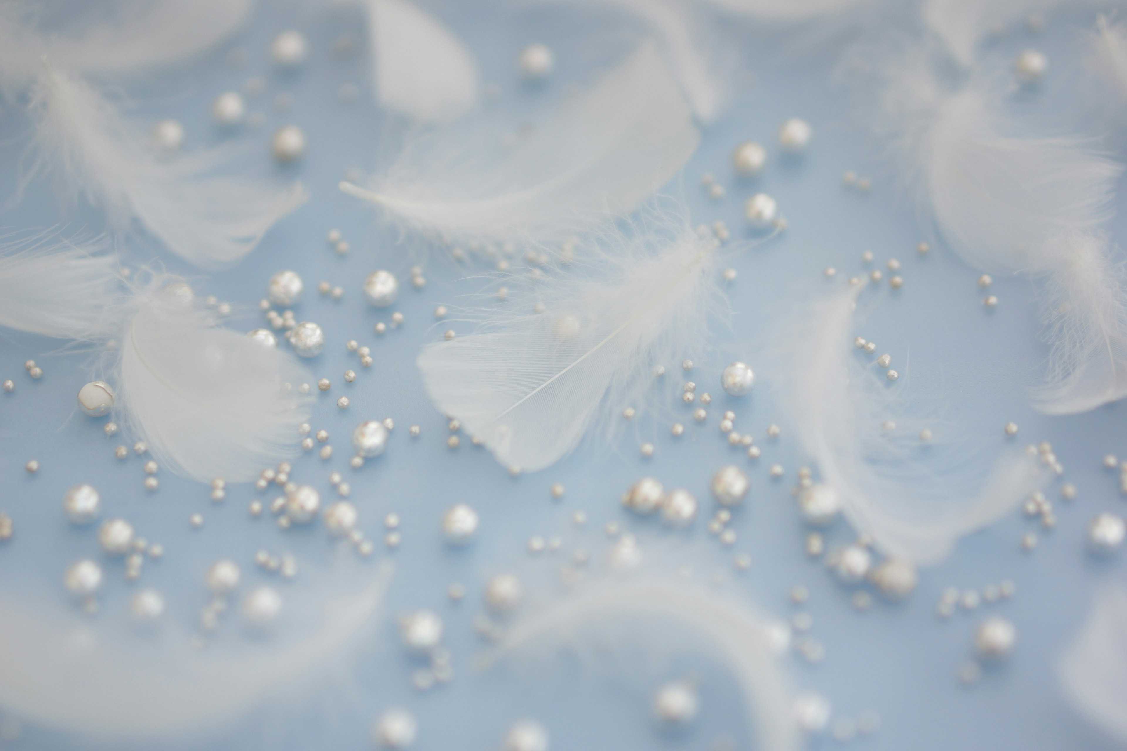 Beautiful image with white feathers and pearl decorations scattered on a blue background