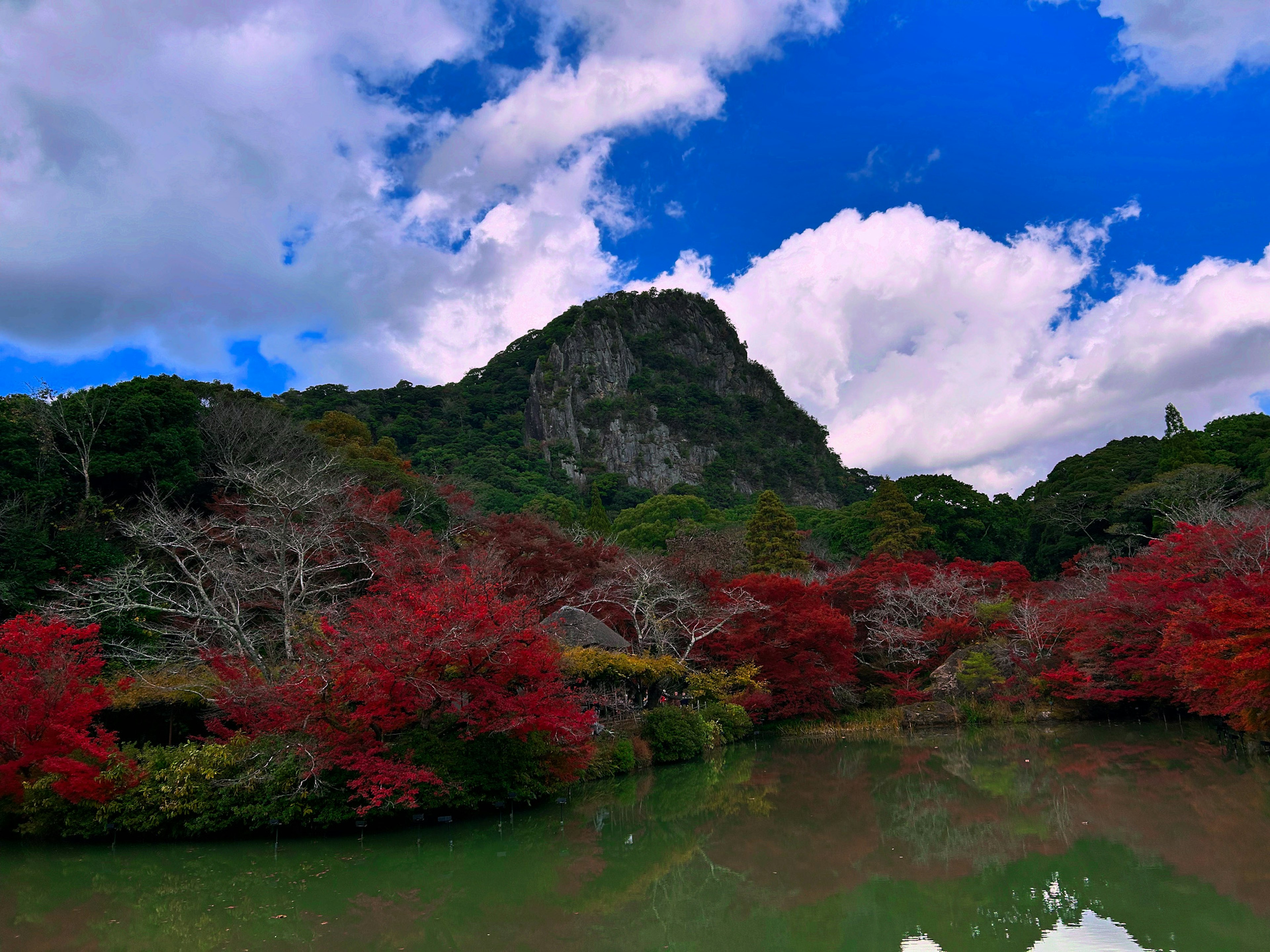 紅葉した木々と青空が広がる美しい風景