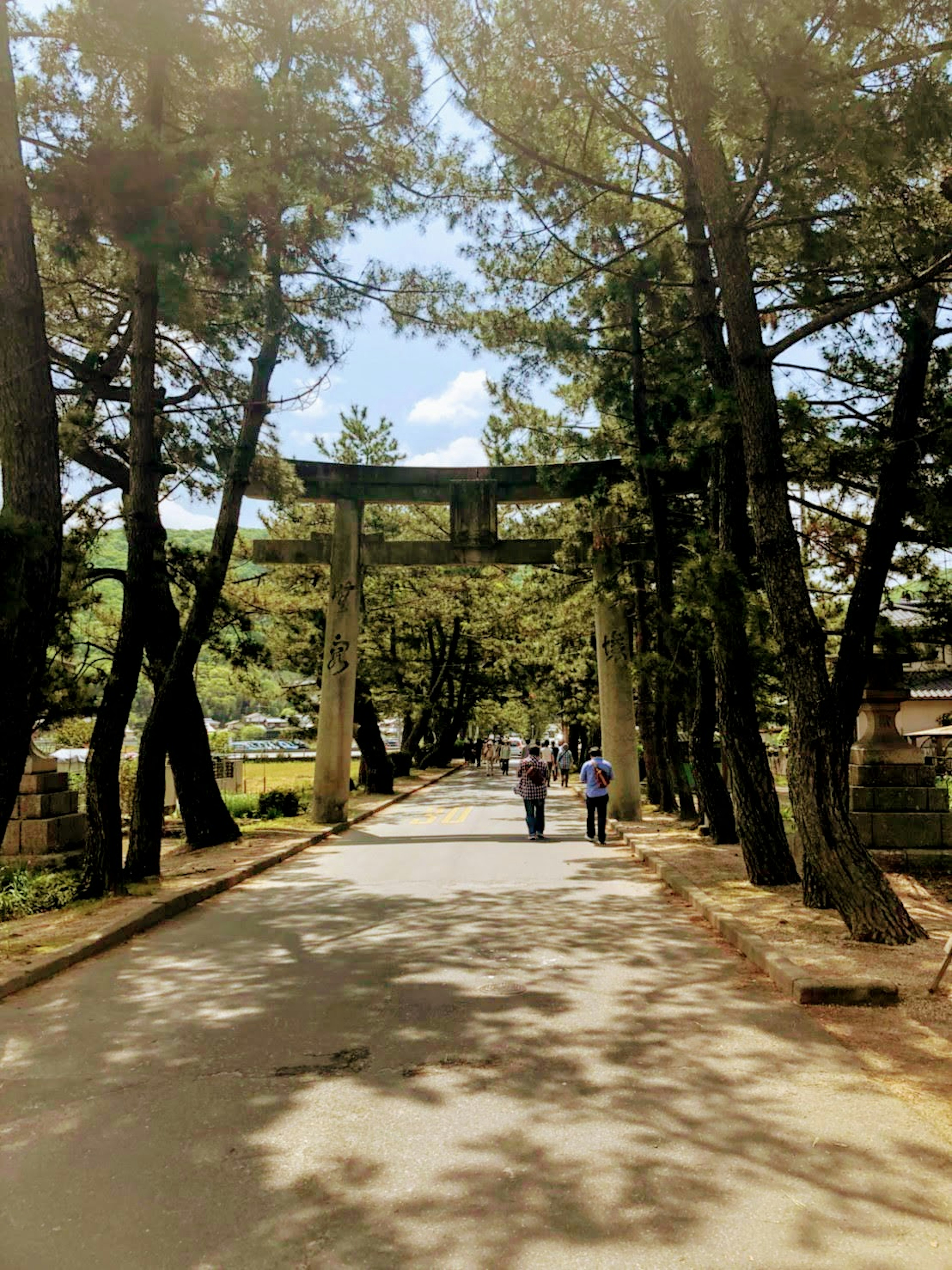 Sentier bordé d'arbres menant à un torii avec des gens marchant