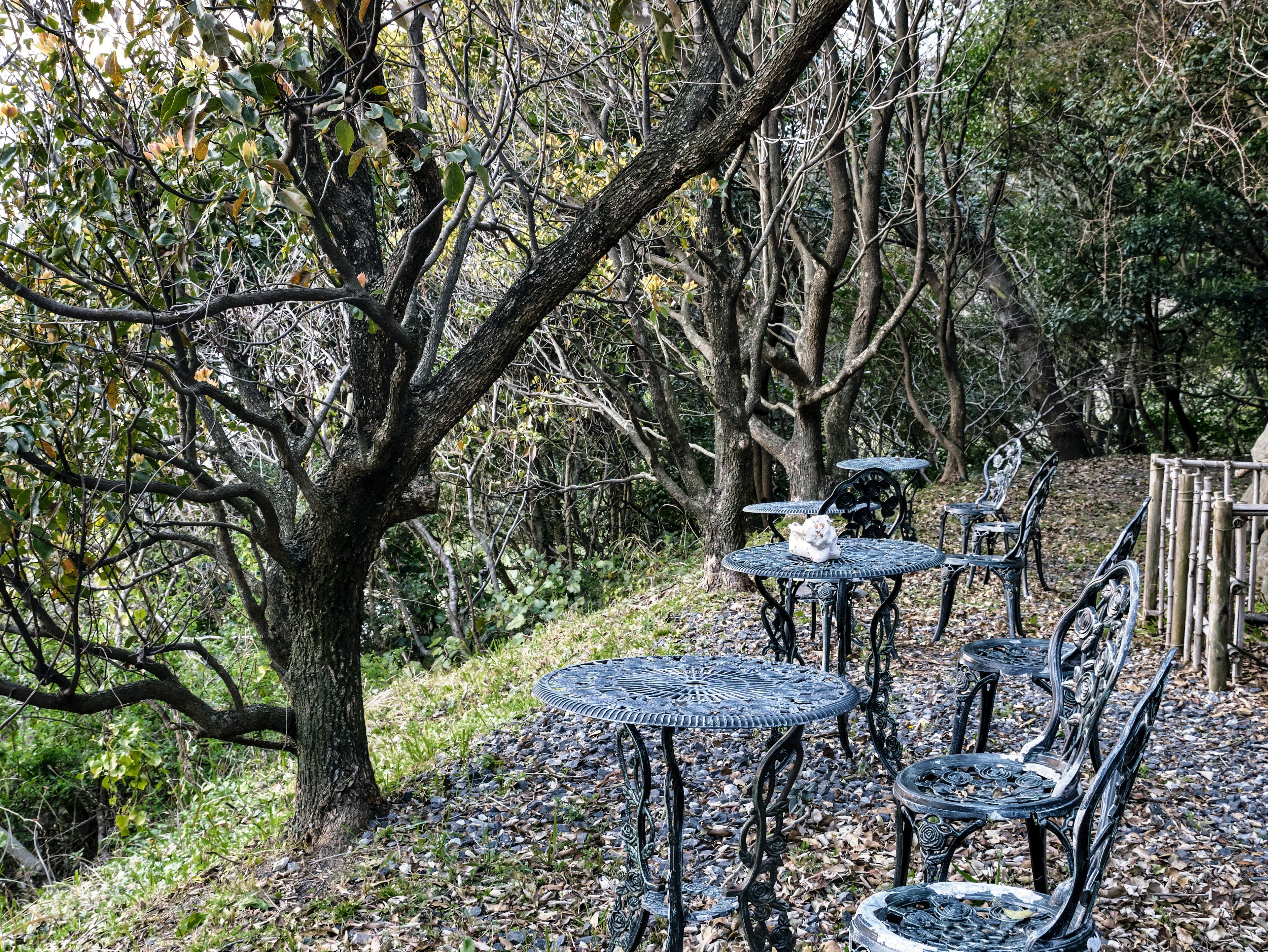 Terraza kafe yang tenang dikelilingi pohon dengan meja dan kursi