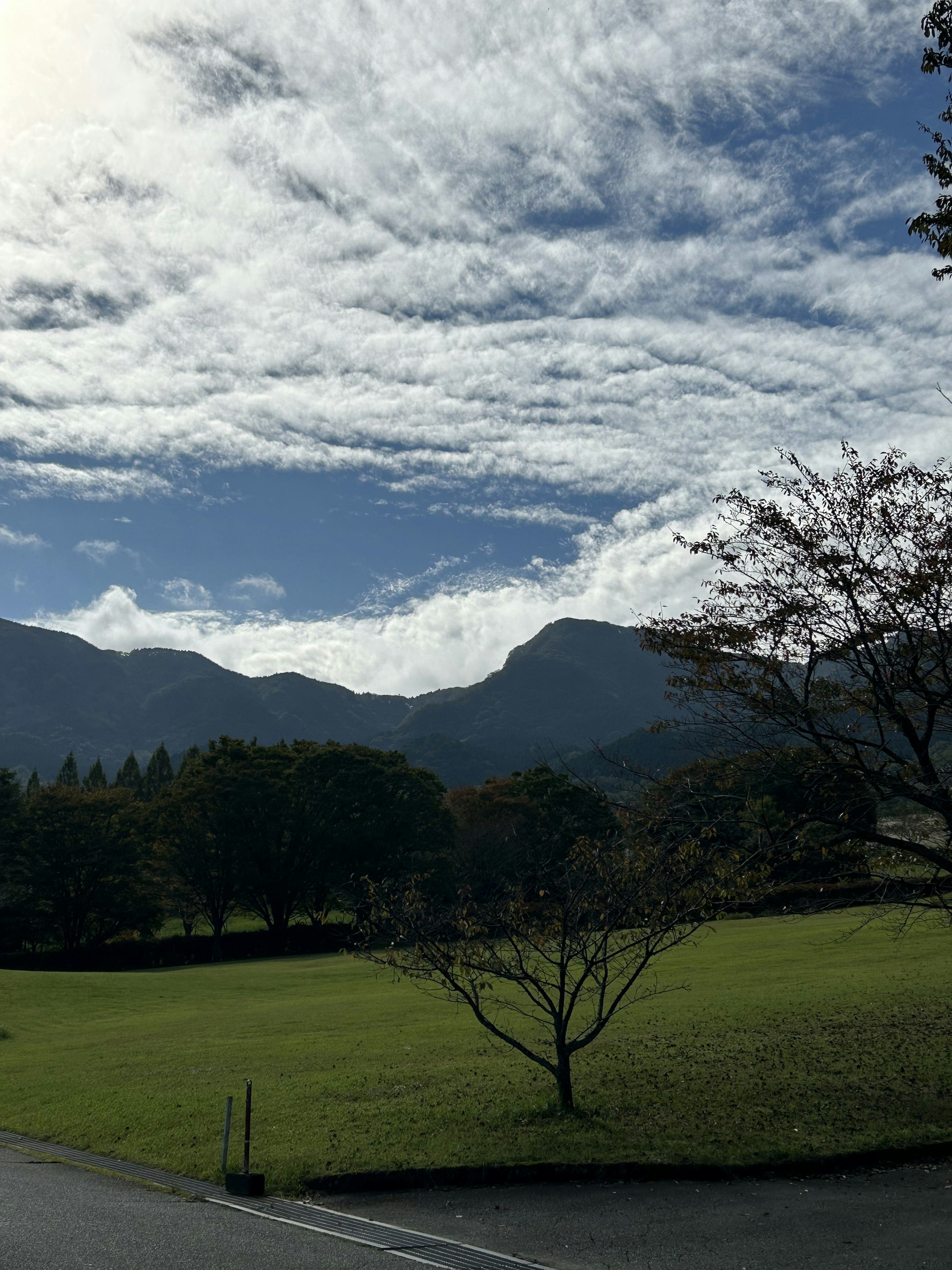 青空と雲が広がる風景に山と緑の草地が広がる