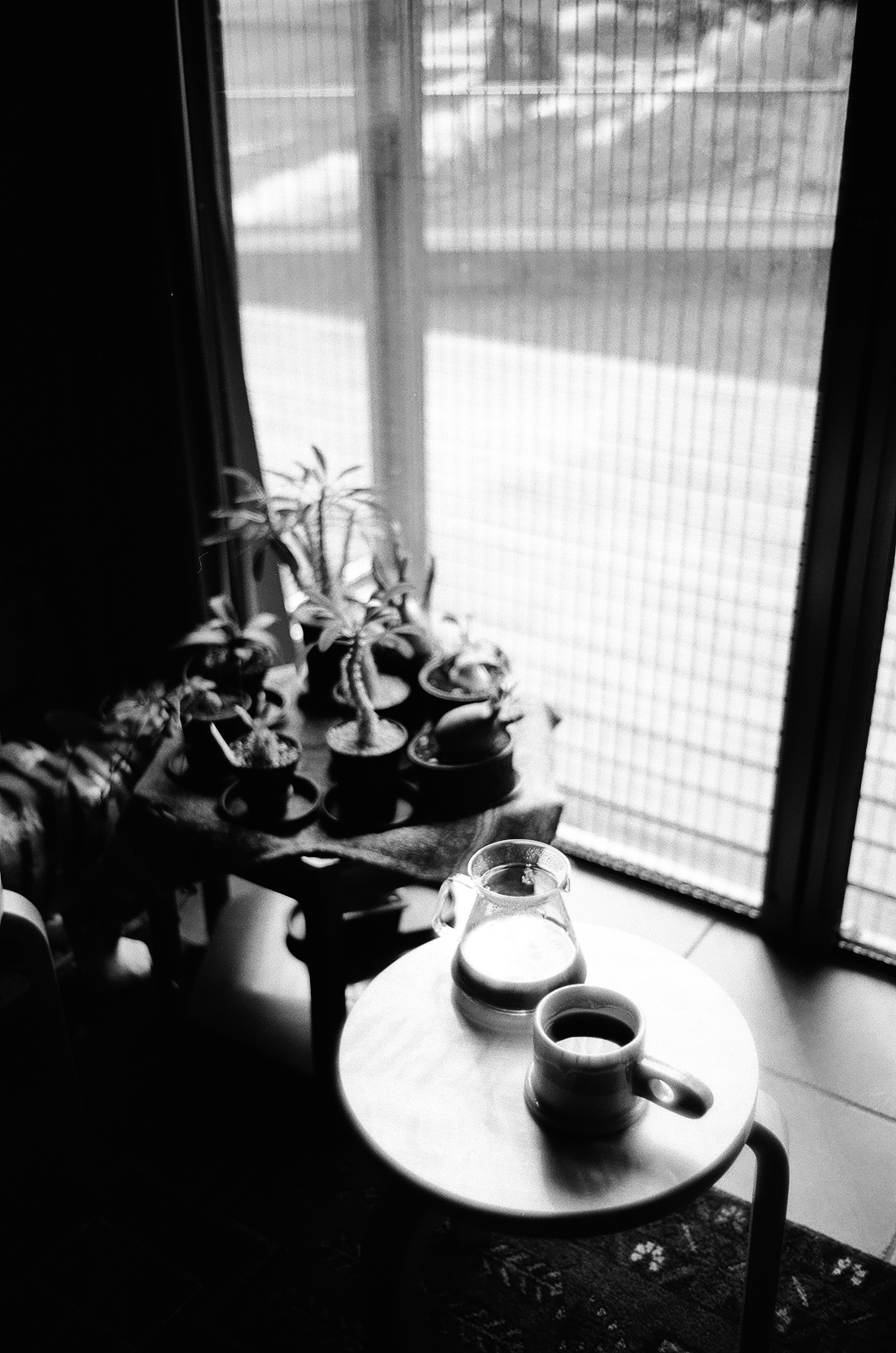 Una escena en blanco y negro con plantas junto a la ventana y una taza de café en una mesa pequeña