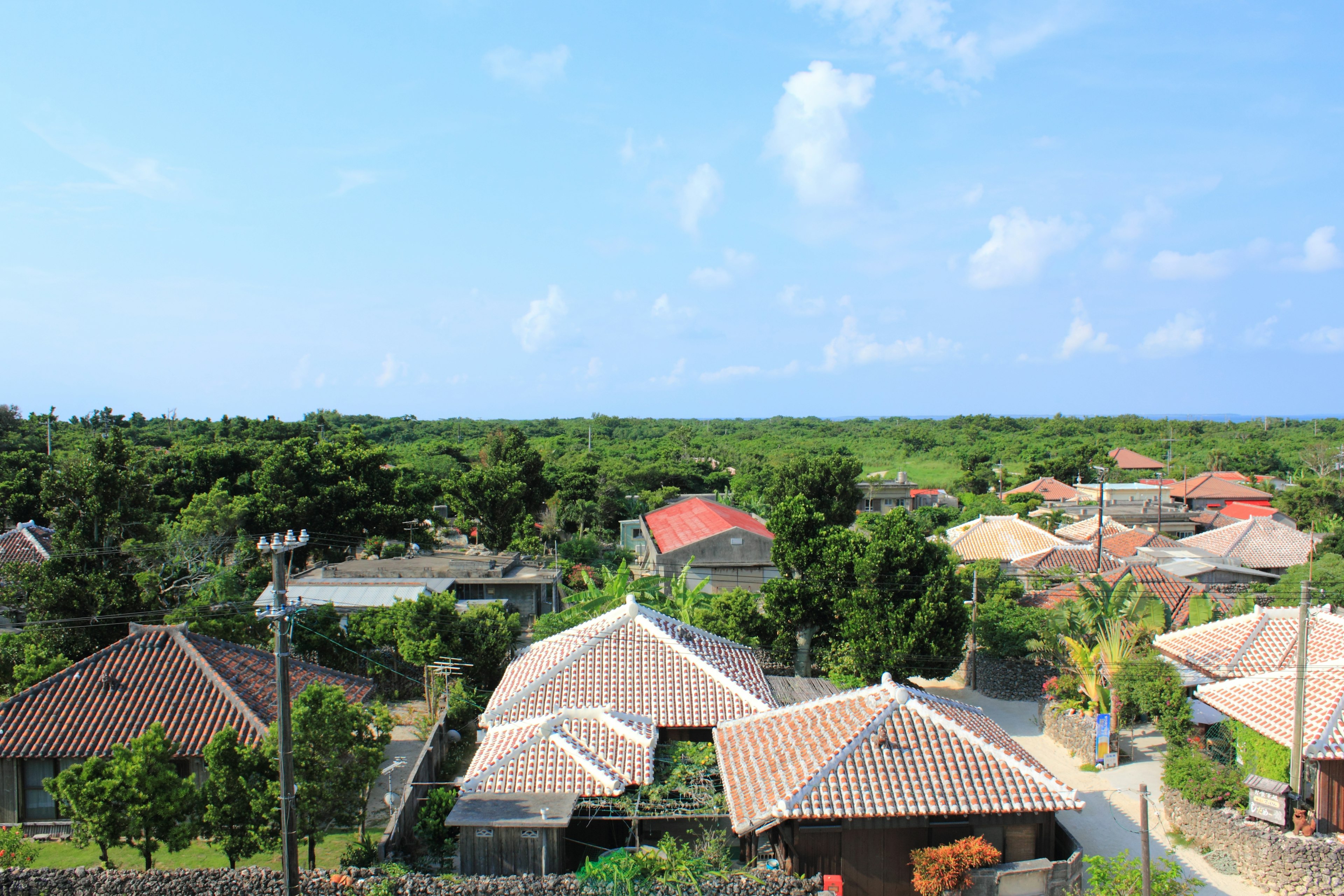 A scenic view of a residential area surrounded by greenery under a blue sky