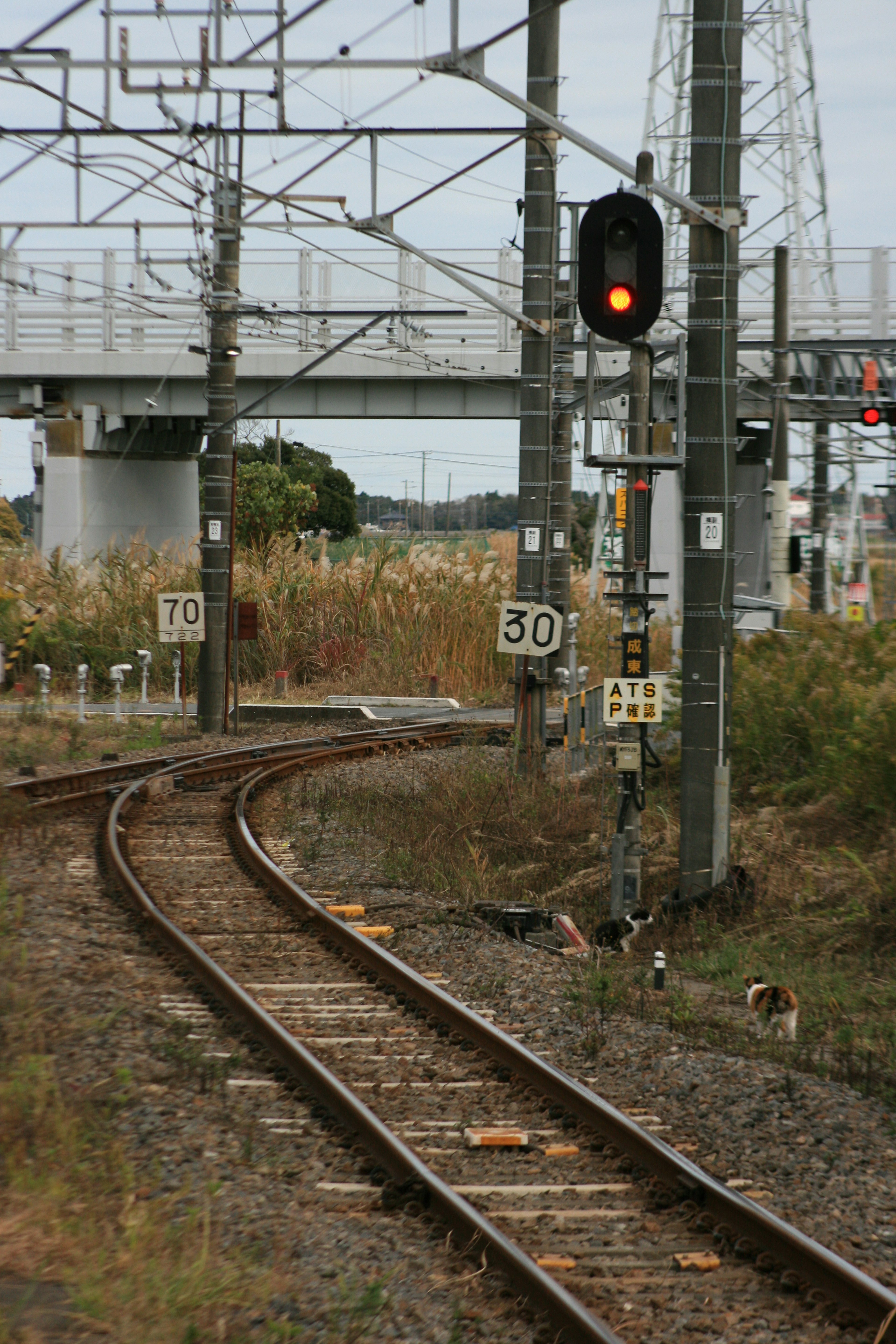 Curved railway track with a signal light