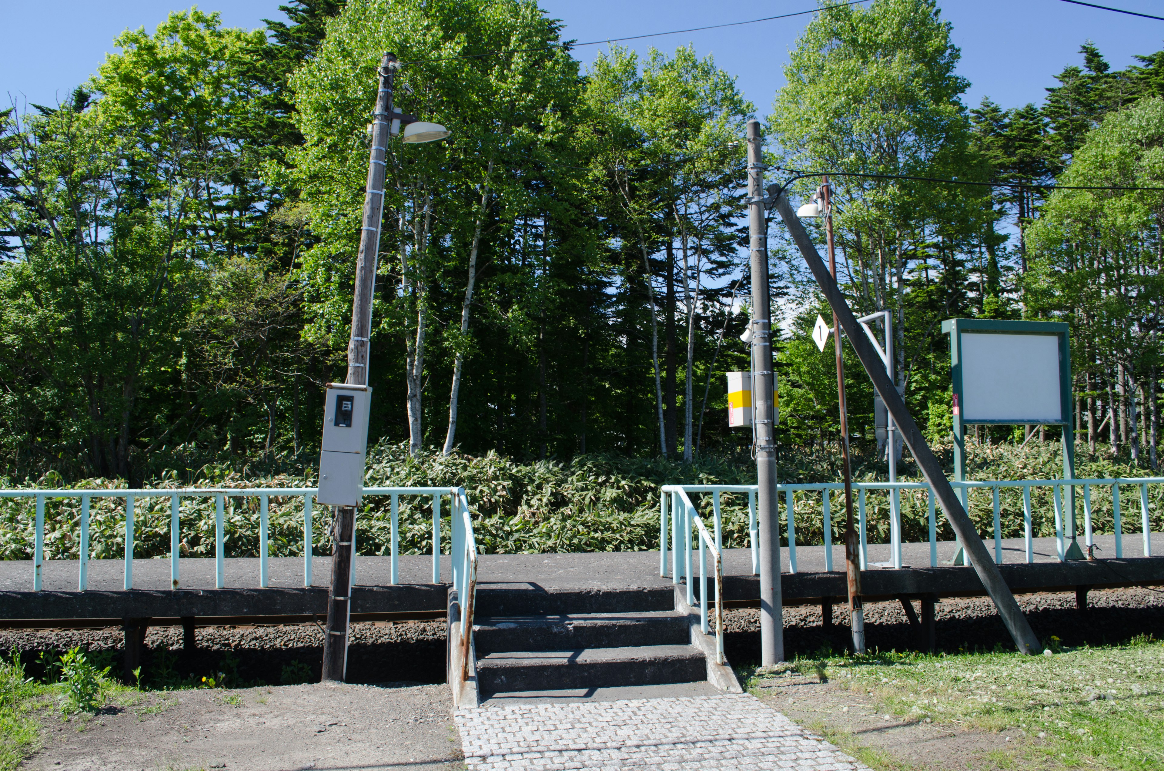 Ruhige Bahnhofsplattform umgeben von grünen Bäumen