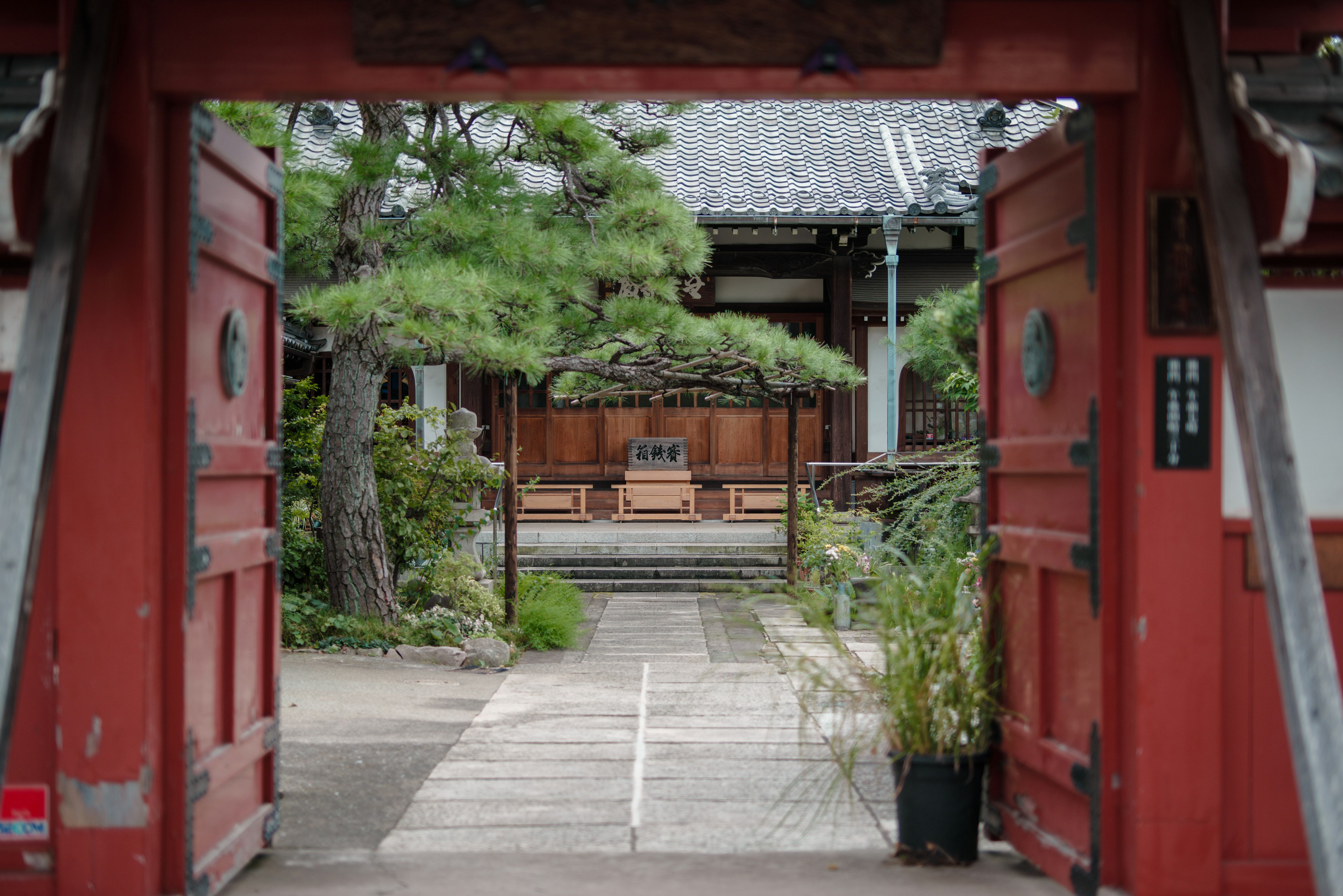 赤い門を通り抜けた先にある日本庭園の景色