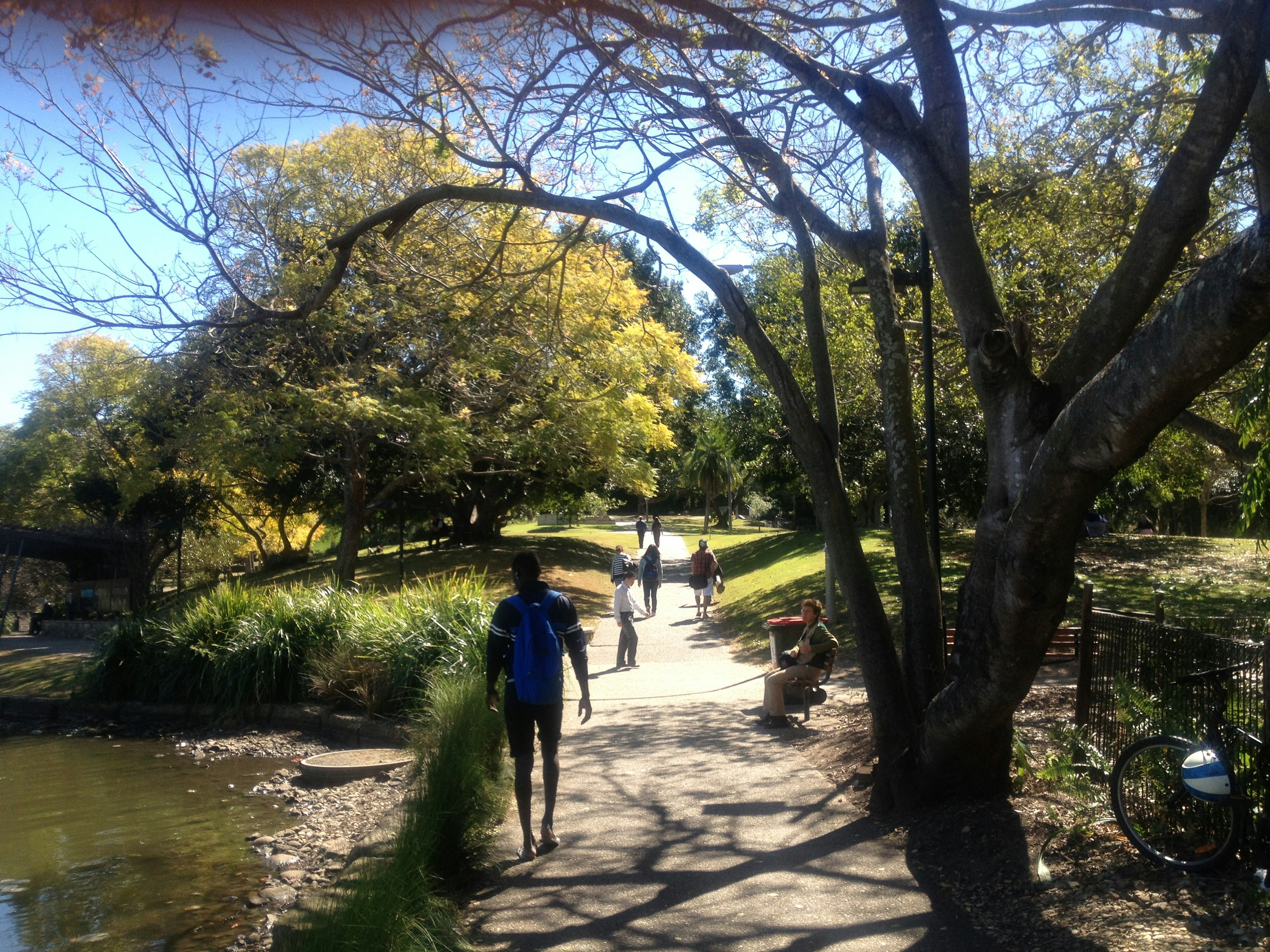 People walking along a scenic path in a lush park with trees