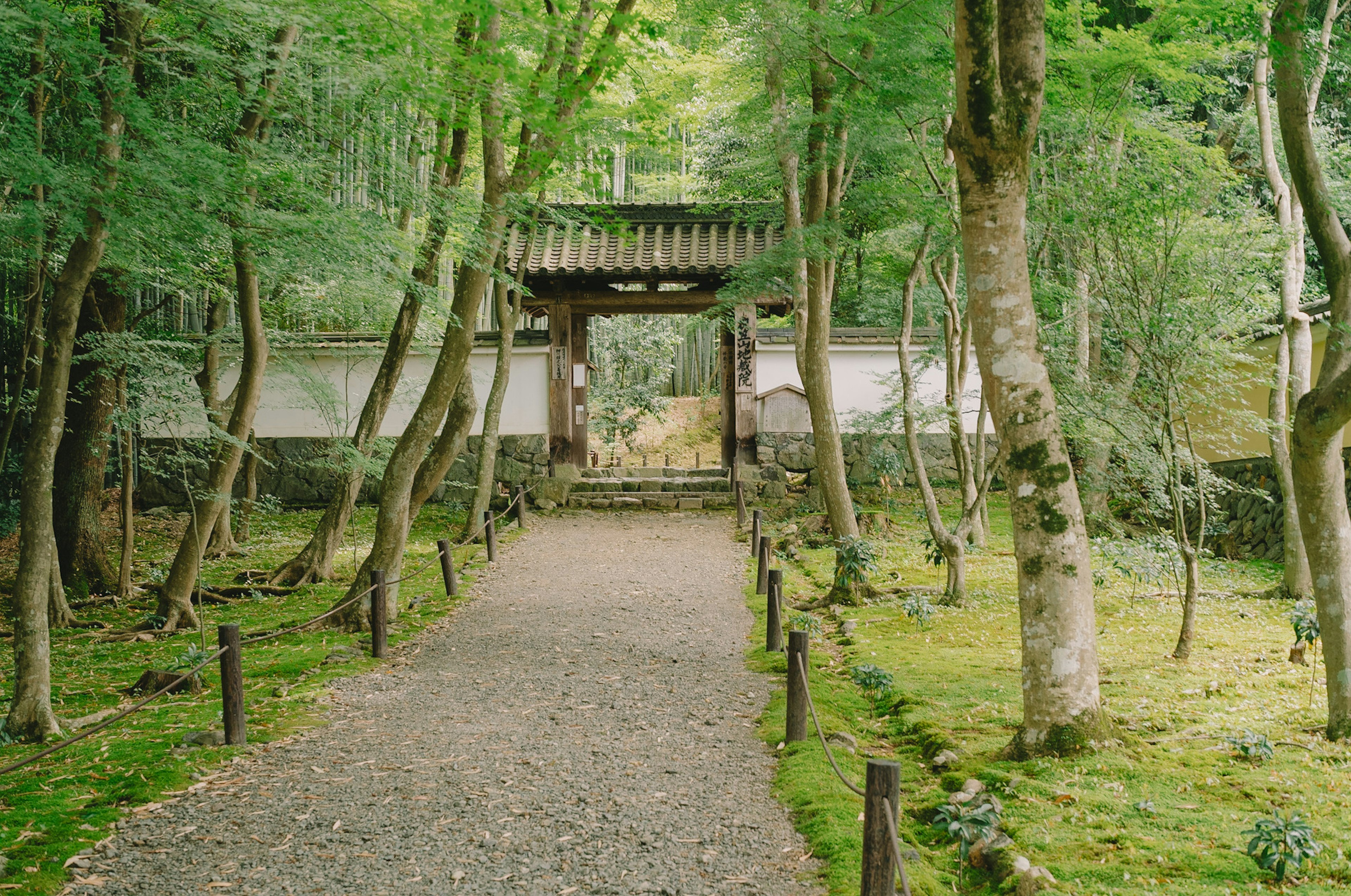 Une vue sereine avec une ancienne porte entourée de verdure et un chemin en pierre