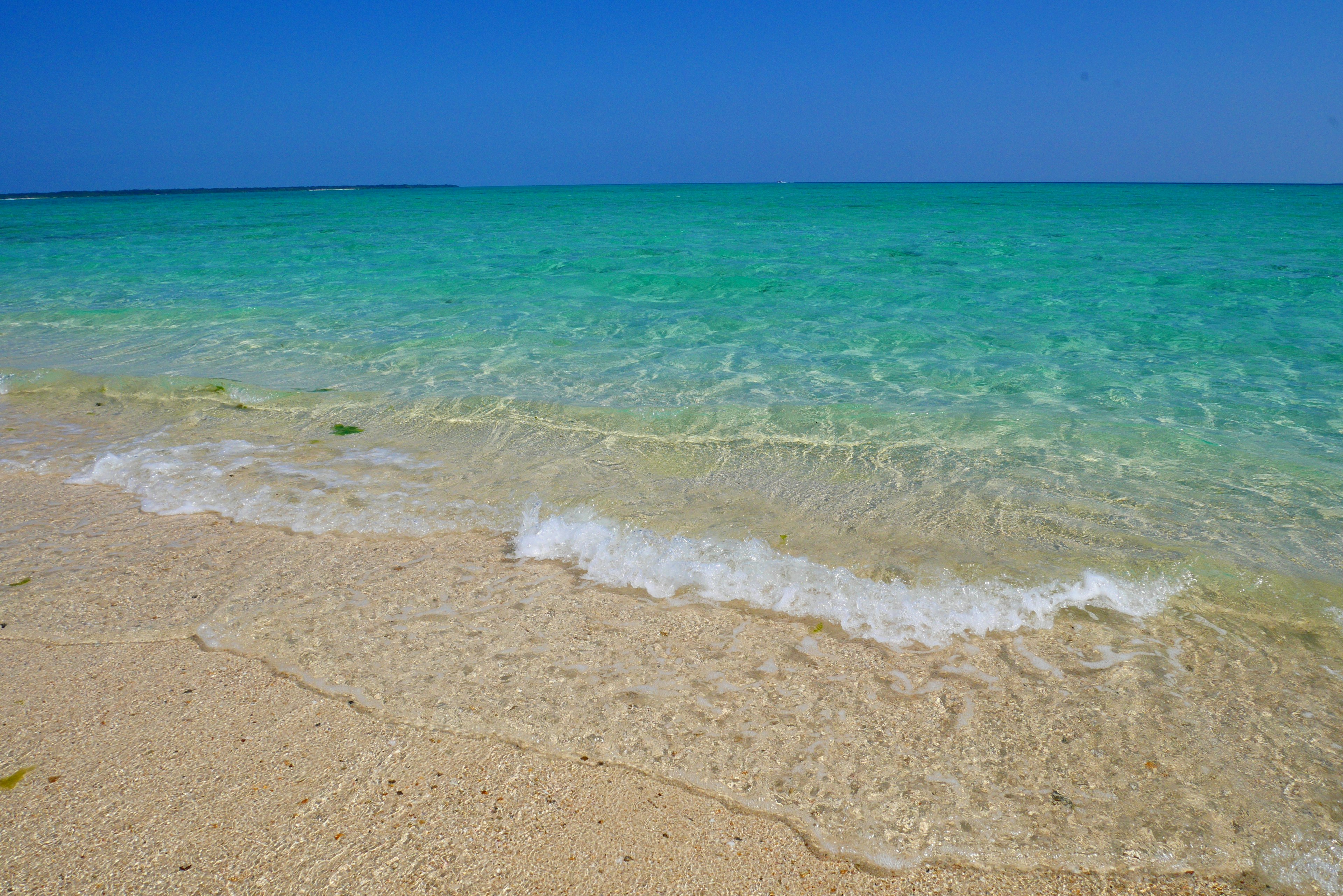 ทิวทัศน์ชายหาดที่มีน้ำทะเลสีเขียวมรกตและท้องฟ้าสีฟ้า