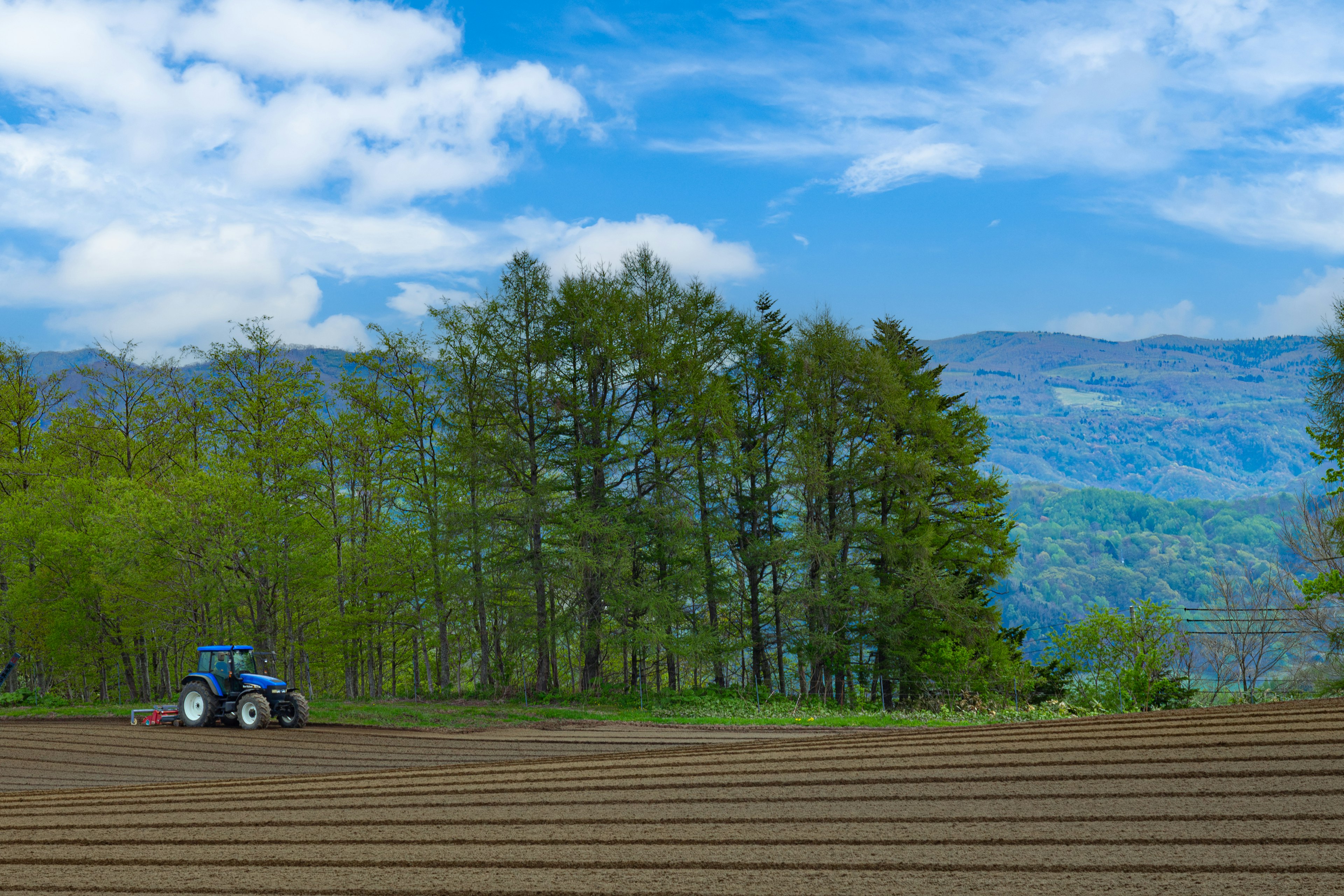 Tractor plowing a field under a blue sky with green trees