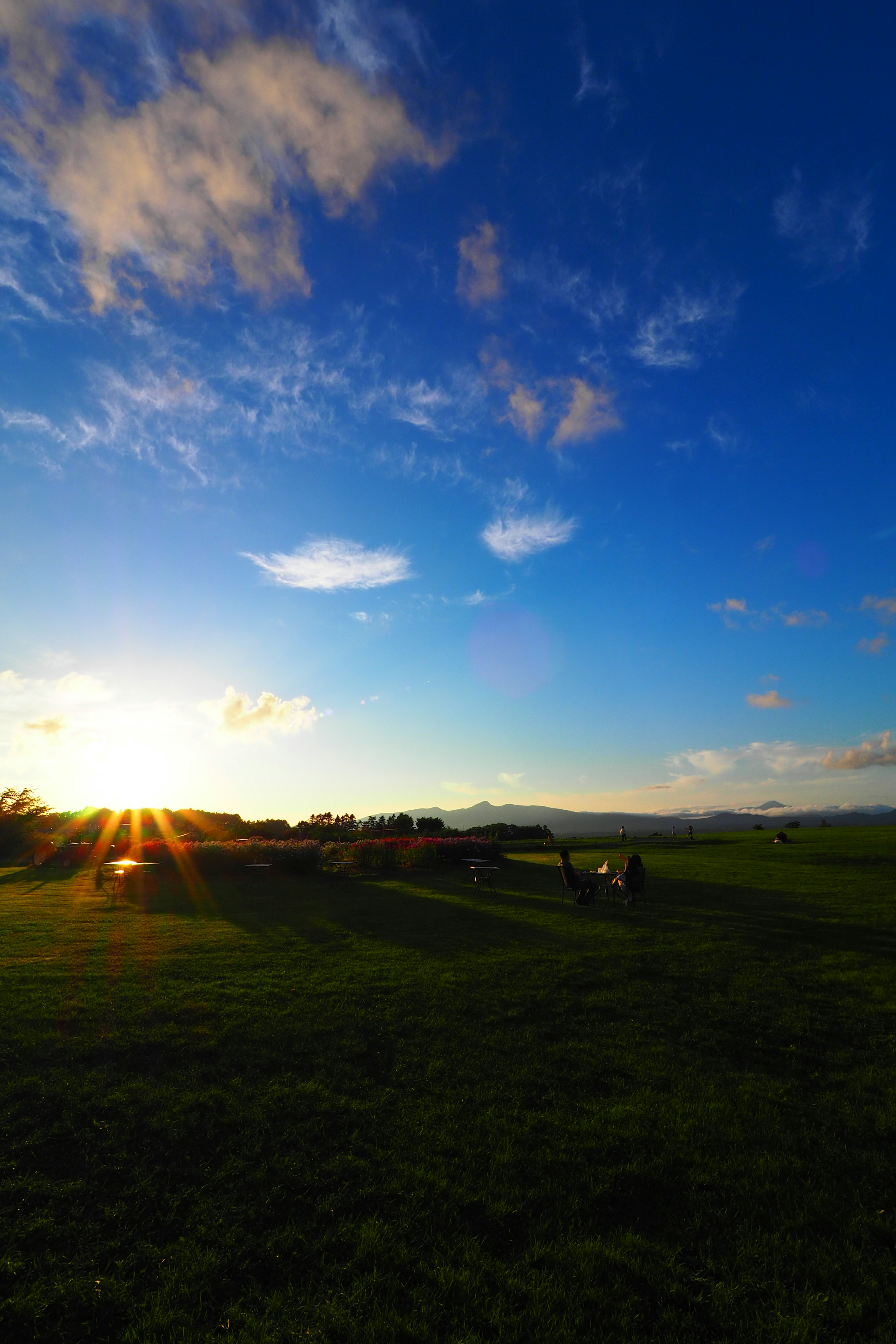 青空と雲の下に広がる緑の草原と夕日