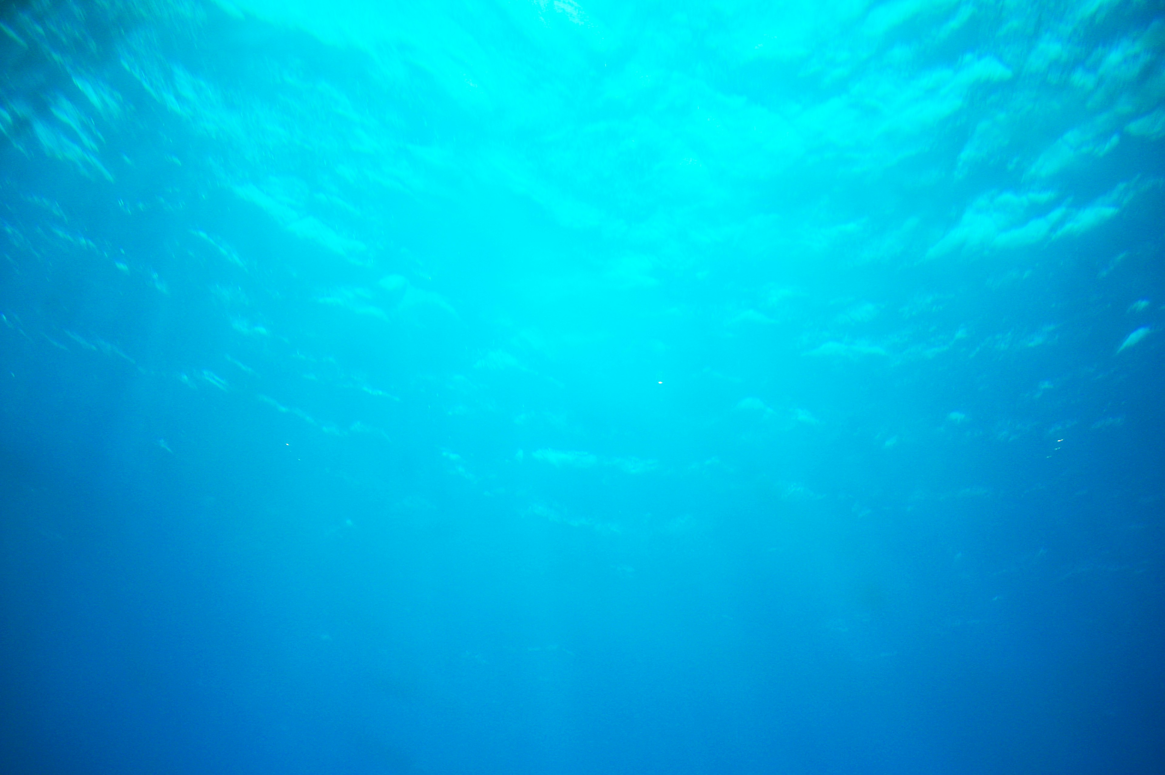 Underwater view of clear blue ocean water