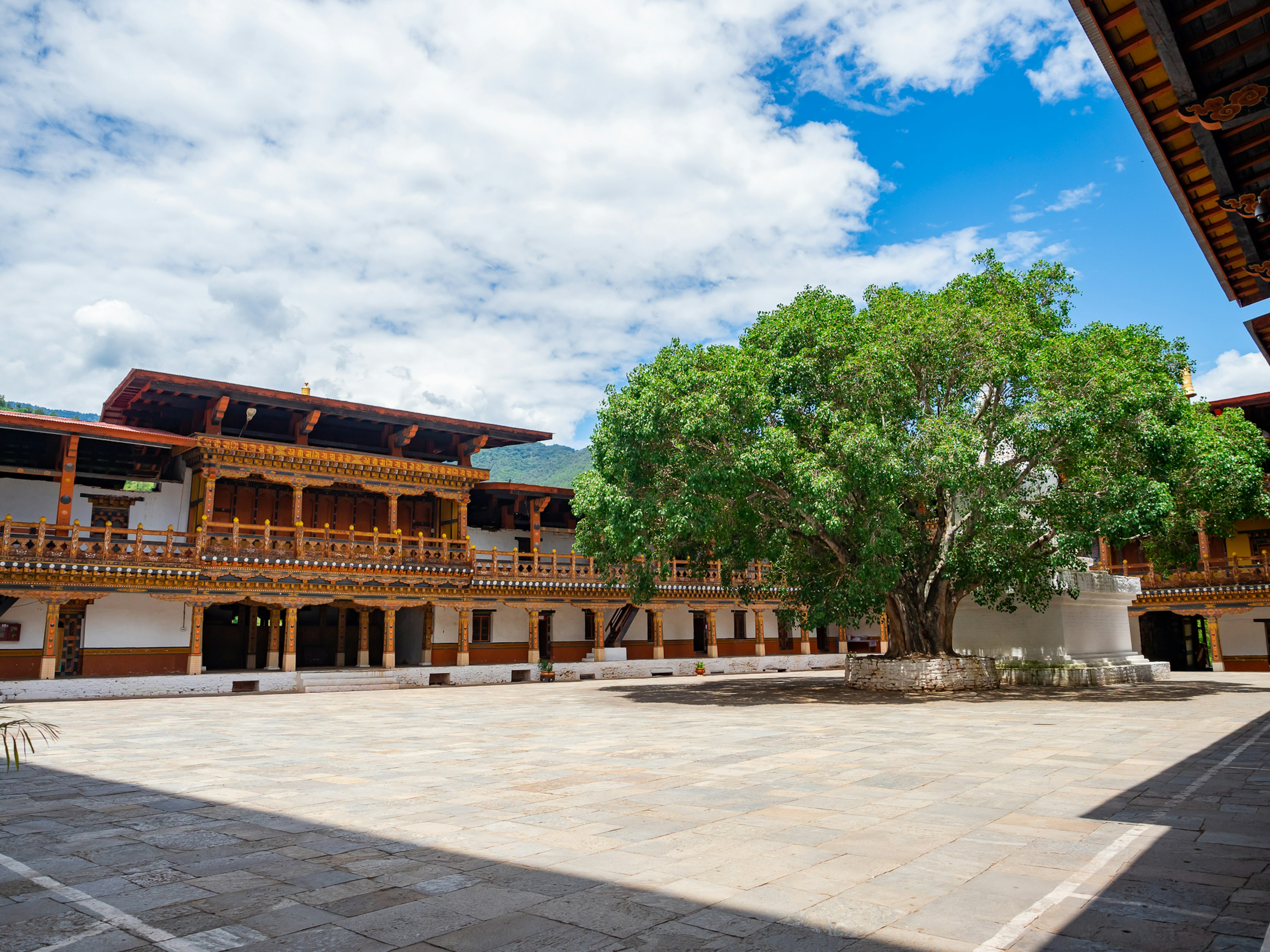 Traditional building with a spacious courtyard and a large tree