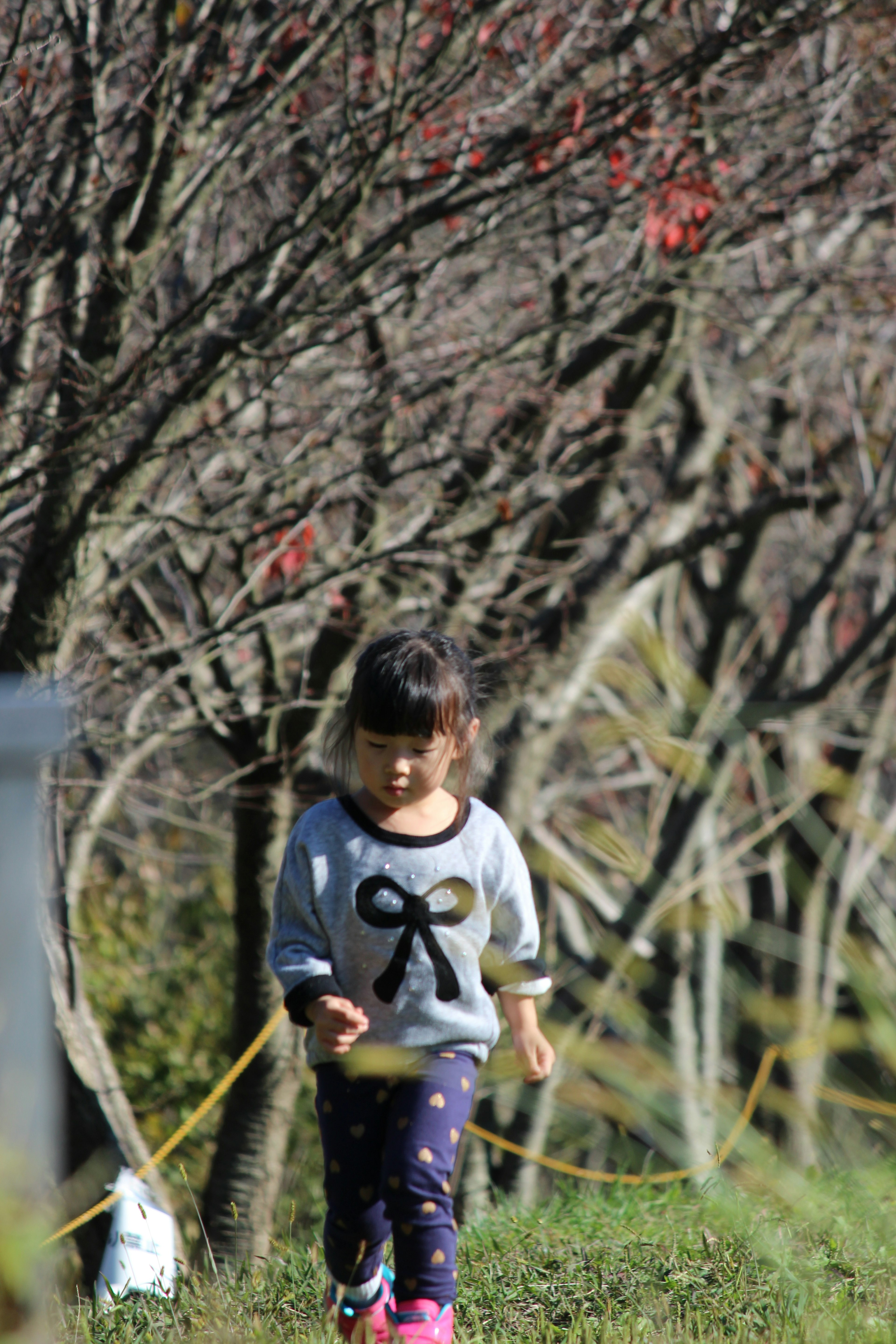 子供が木々の間を歩いている風景