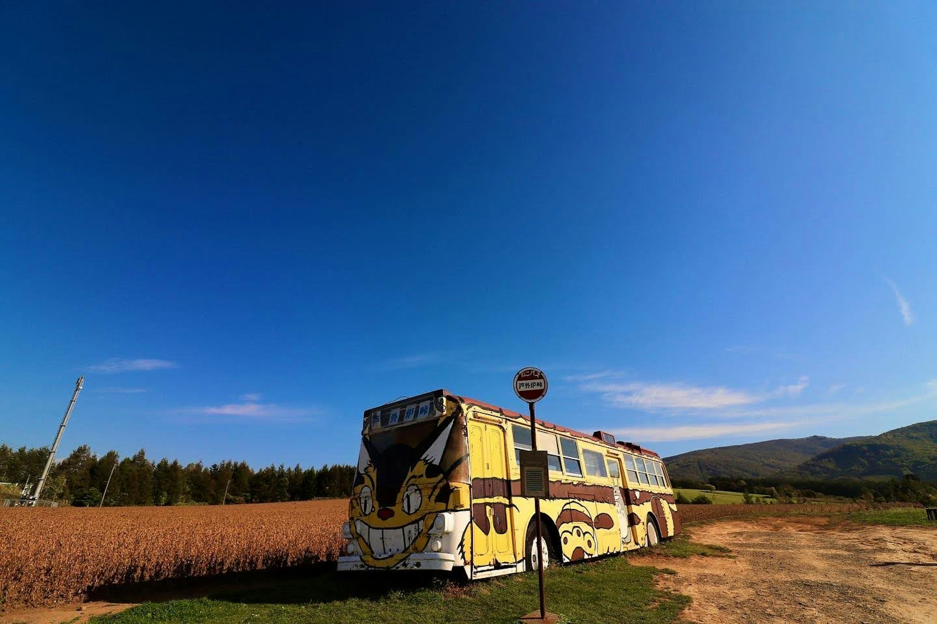 Un vieux bus jaune dans un champ sous un ciel bleu clair