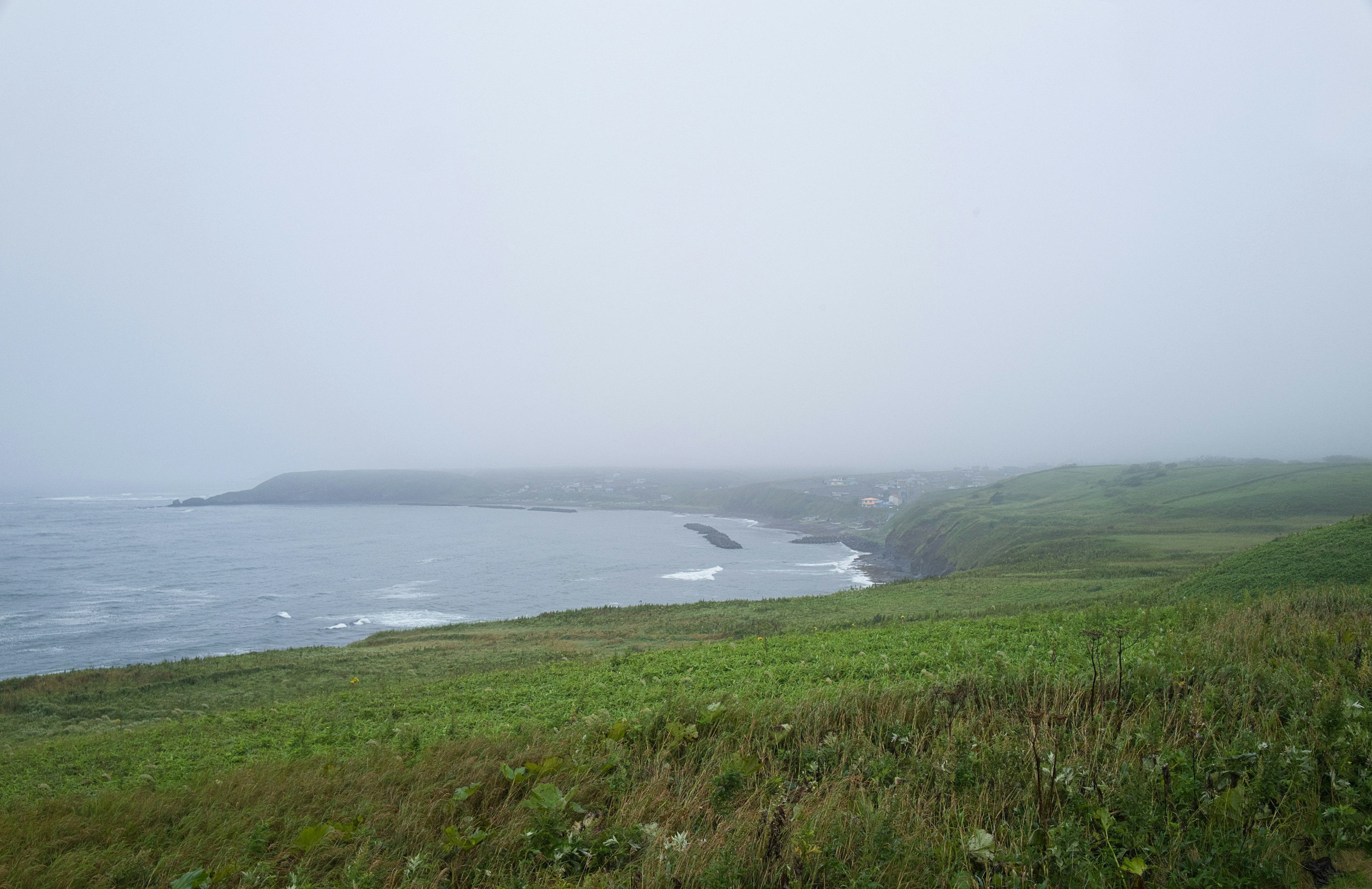 Côte brumeuse avec prairies vertes et vagues océaniques