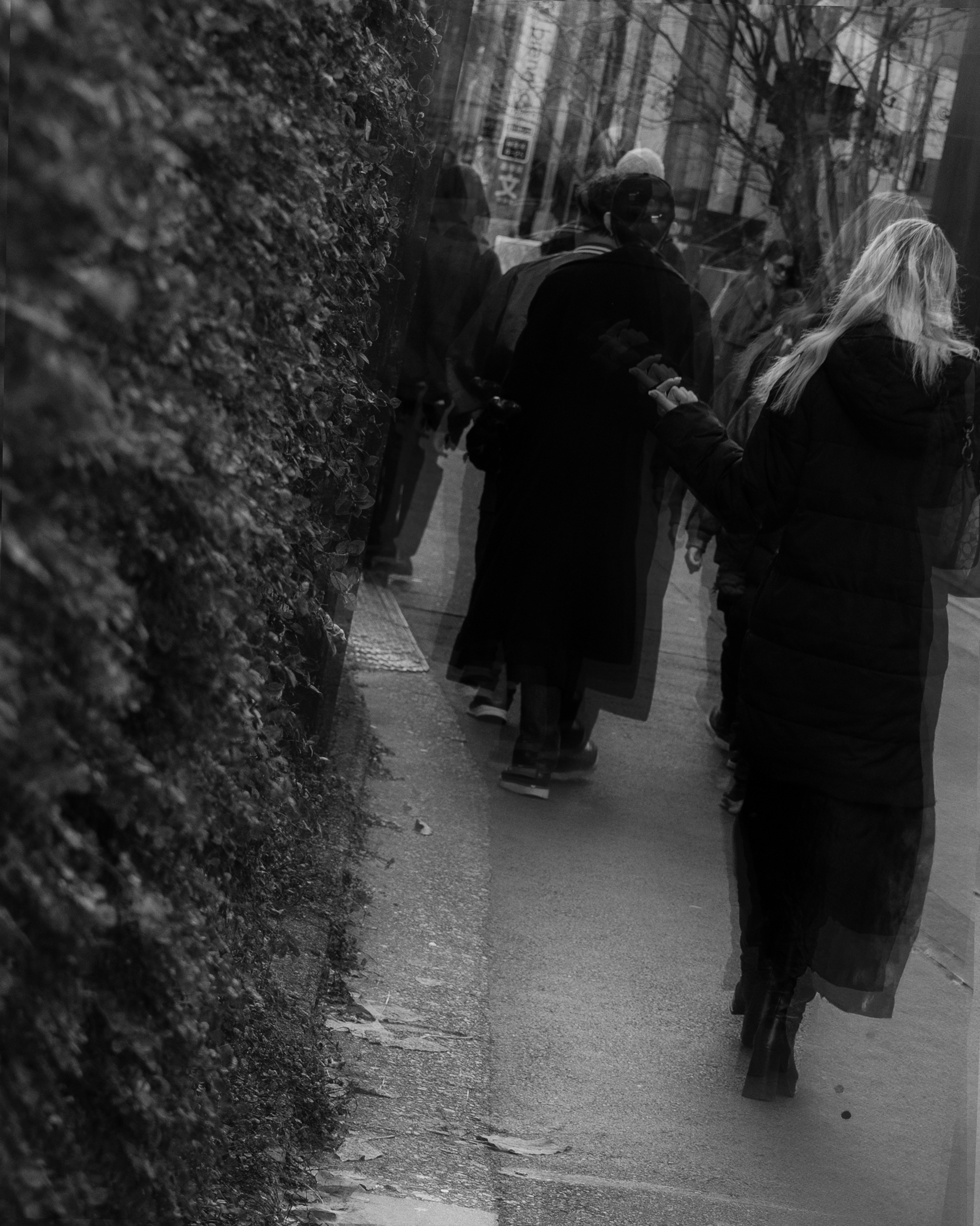 People walking along a black and white path with a green hedge