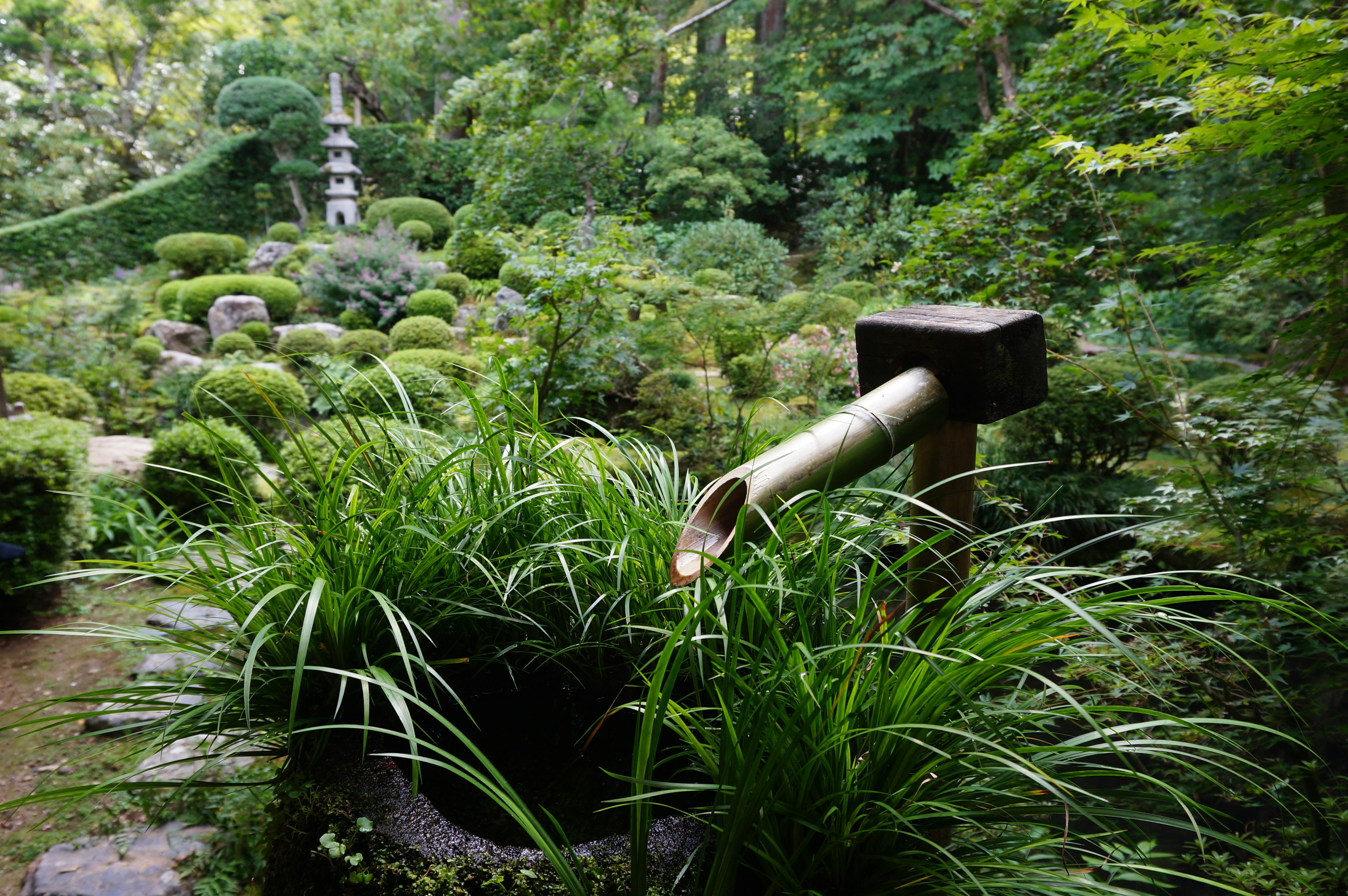 Serene Japanese garden scene featuring a bamboo water spout and lush greenery