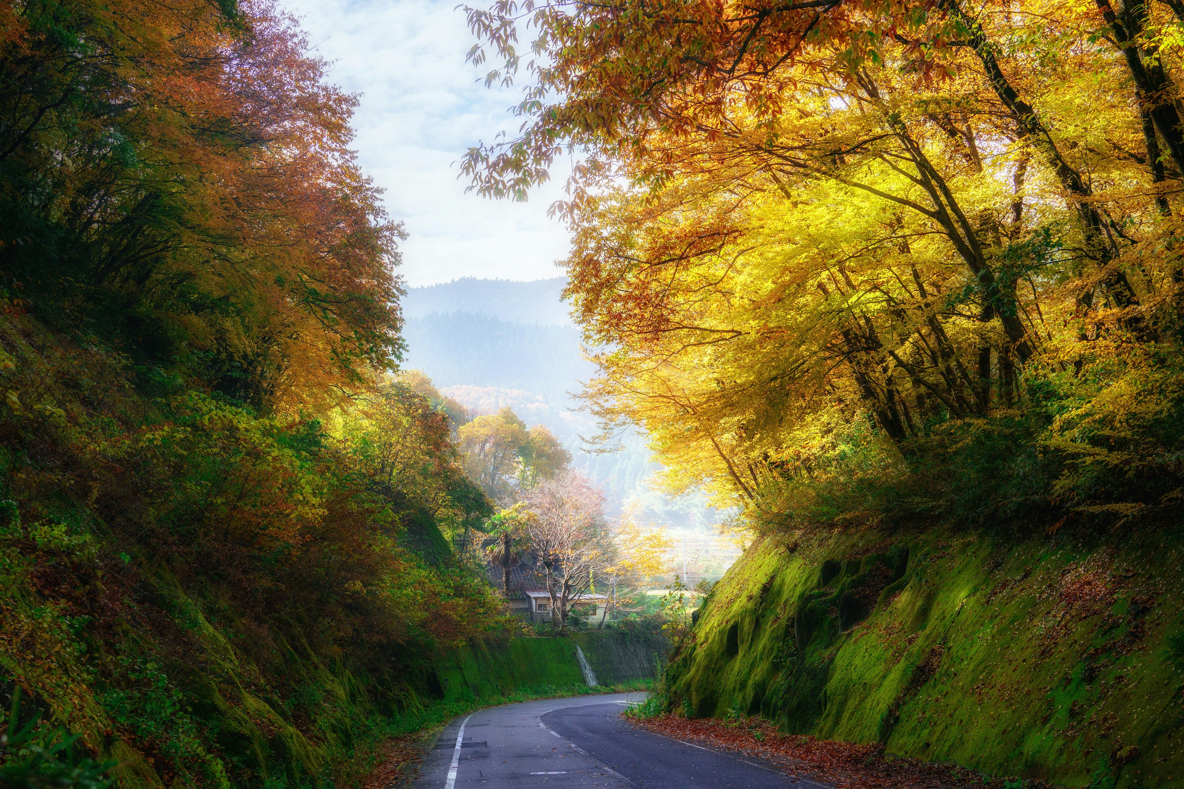 Paesaggio autunnale scenico con una strada tortuosa circondata da alberi gialli e verdi vibranti